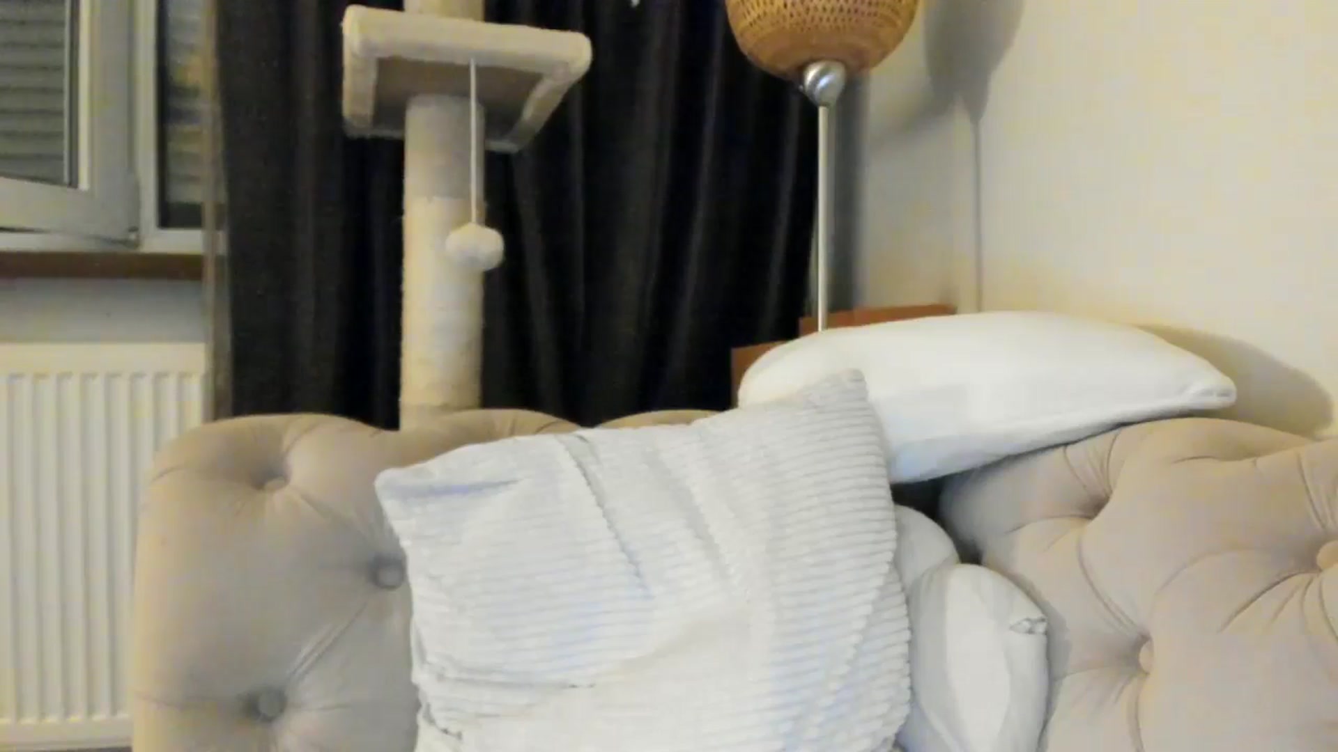 Gallery image thumbnail from SashaLopez's myfreecams stream on, 06/15/2025, 21:39 image 18 of 20