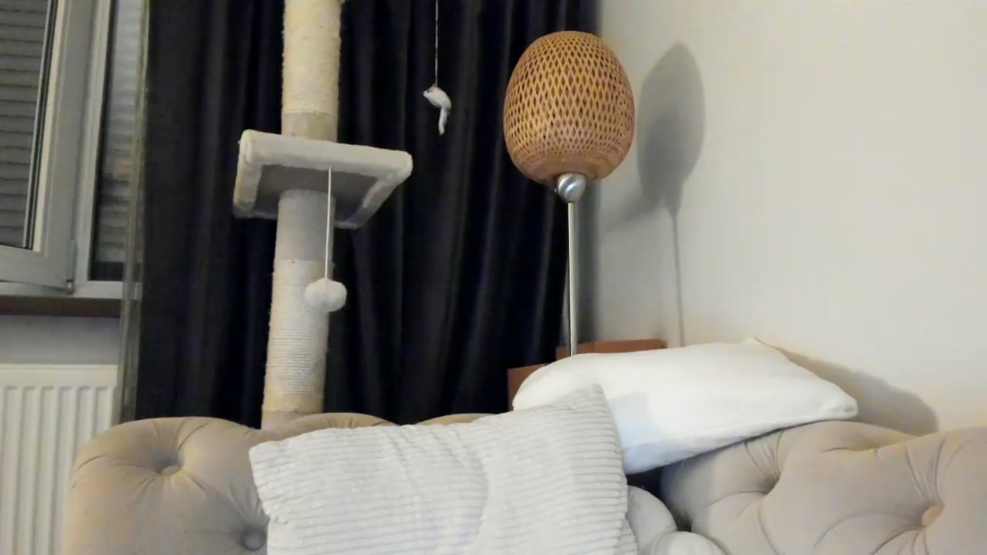 Gallery image thumbnail from SashaLopez's myfreecams stream on, 06/15/2025, 22:48 image 16 of 20