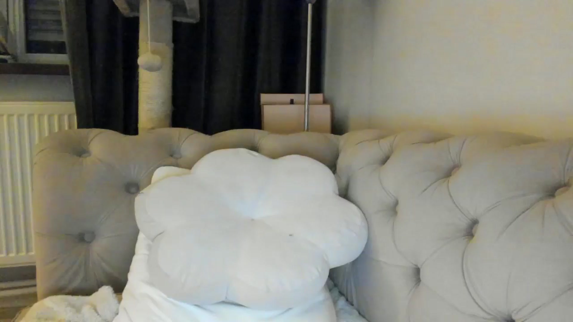 Gallery image thumbnail from SashaLopez's myfreecams stream on, 07/14/2025, 24:08 image 12 of 20