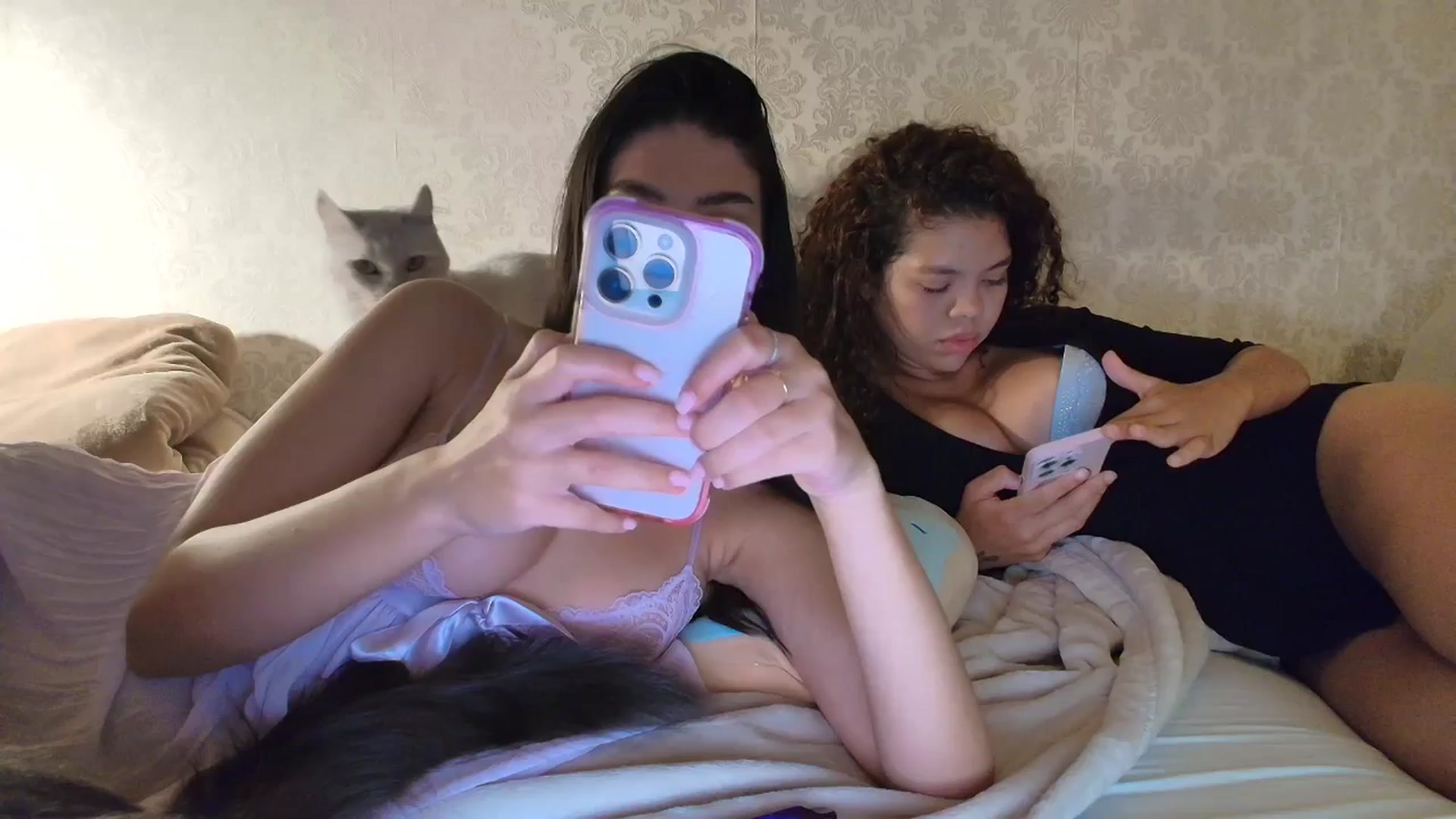 Gallery image thumbnail from SashaLopez's myfreecams stream on, 09/24/2025, 21:04 image 1 of 20