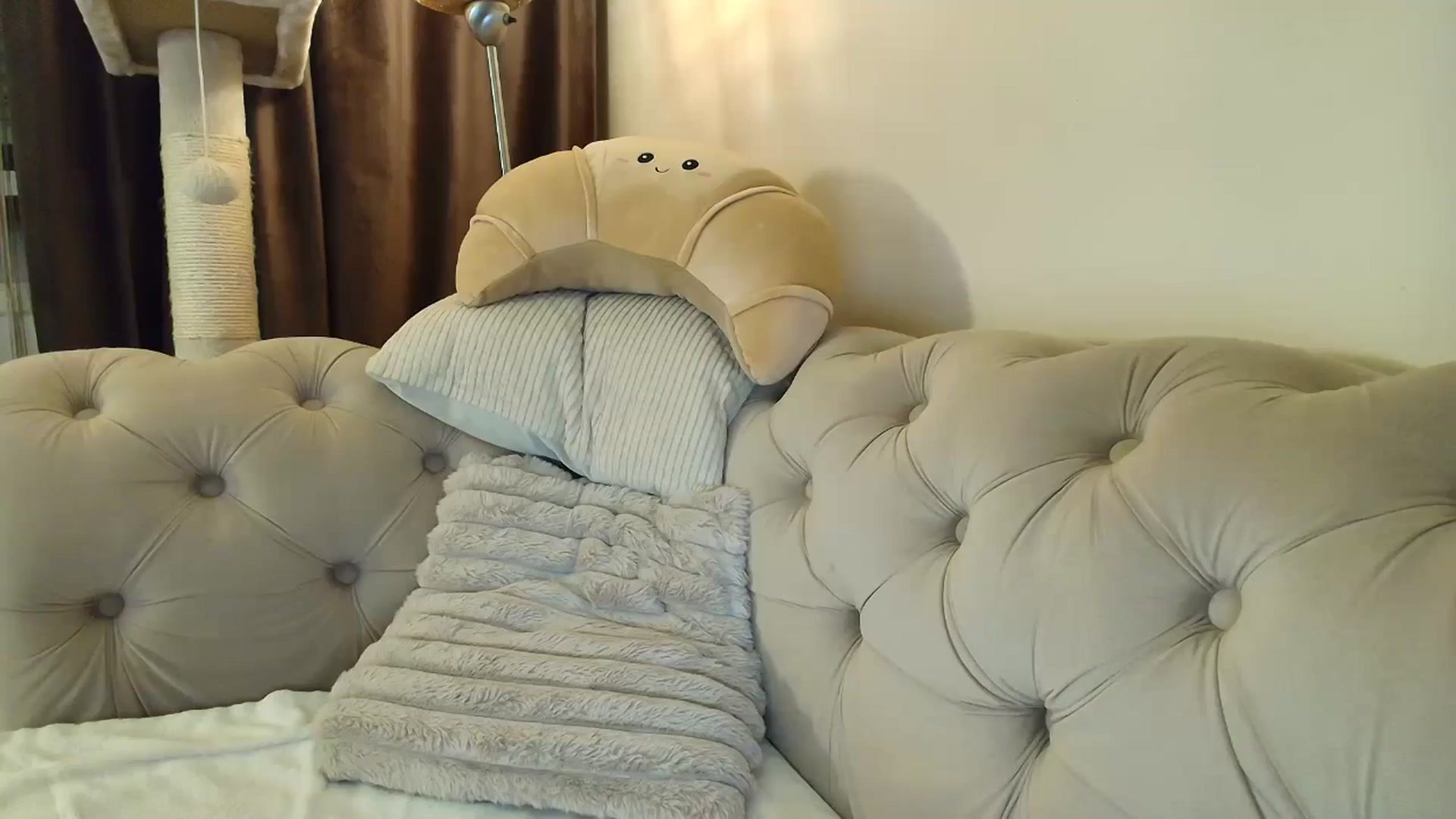 Gallery image thumbnail from SashaLopez's myfreecams stream on, 10/04/2025, 21:27 image 19 of 20