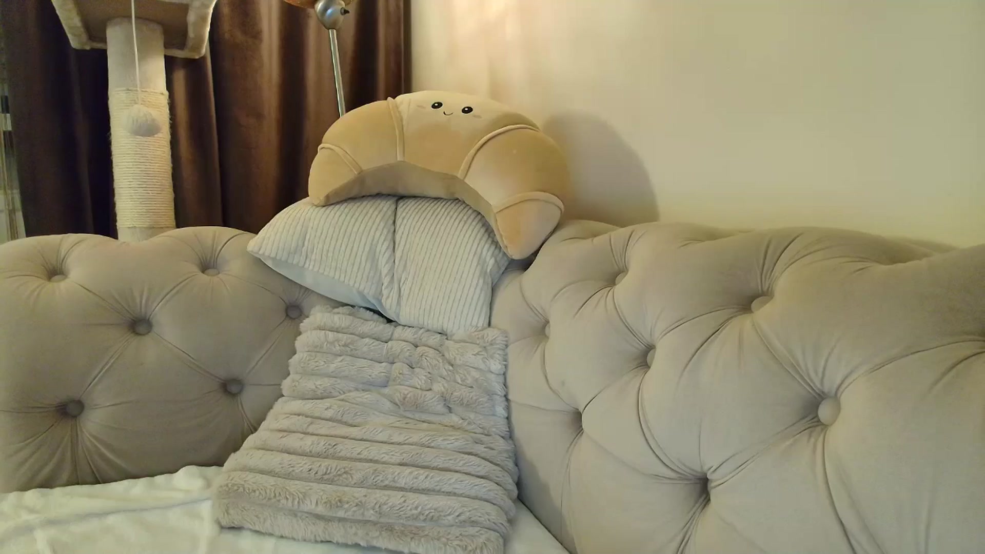 Gallery image thumbnail from SashaLopez's myfreecams stream on, 10/04/2025, 21:27 image 17 of 20