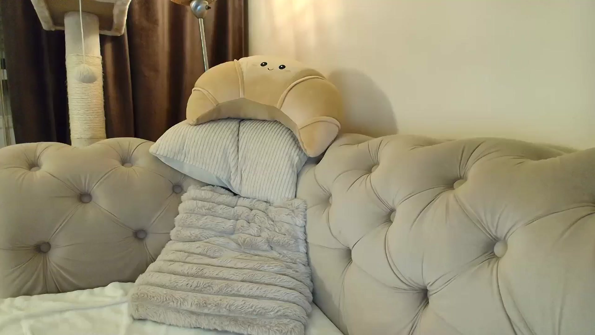 Gallery image thumbnail from SashaLopez's myfreecams stream on, 10/04/2025, 21:27 image 18 of 20