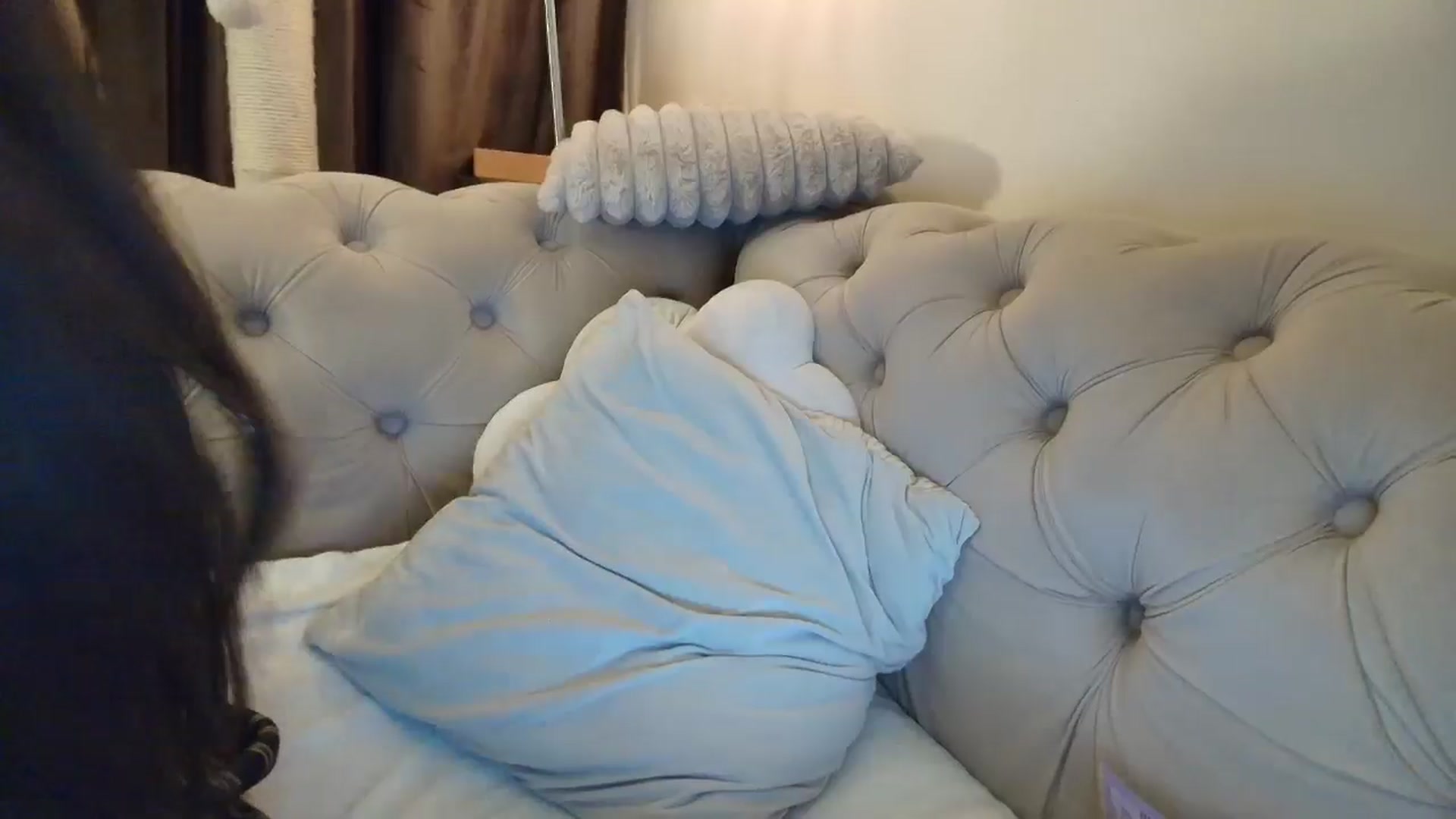 Gallery image thumbnail from SashaLopez's myfreecams stream on, 10/09/2025, 20:50 image 13 of 20