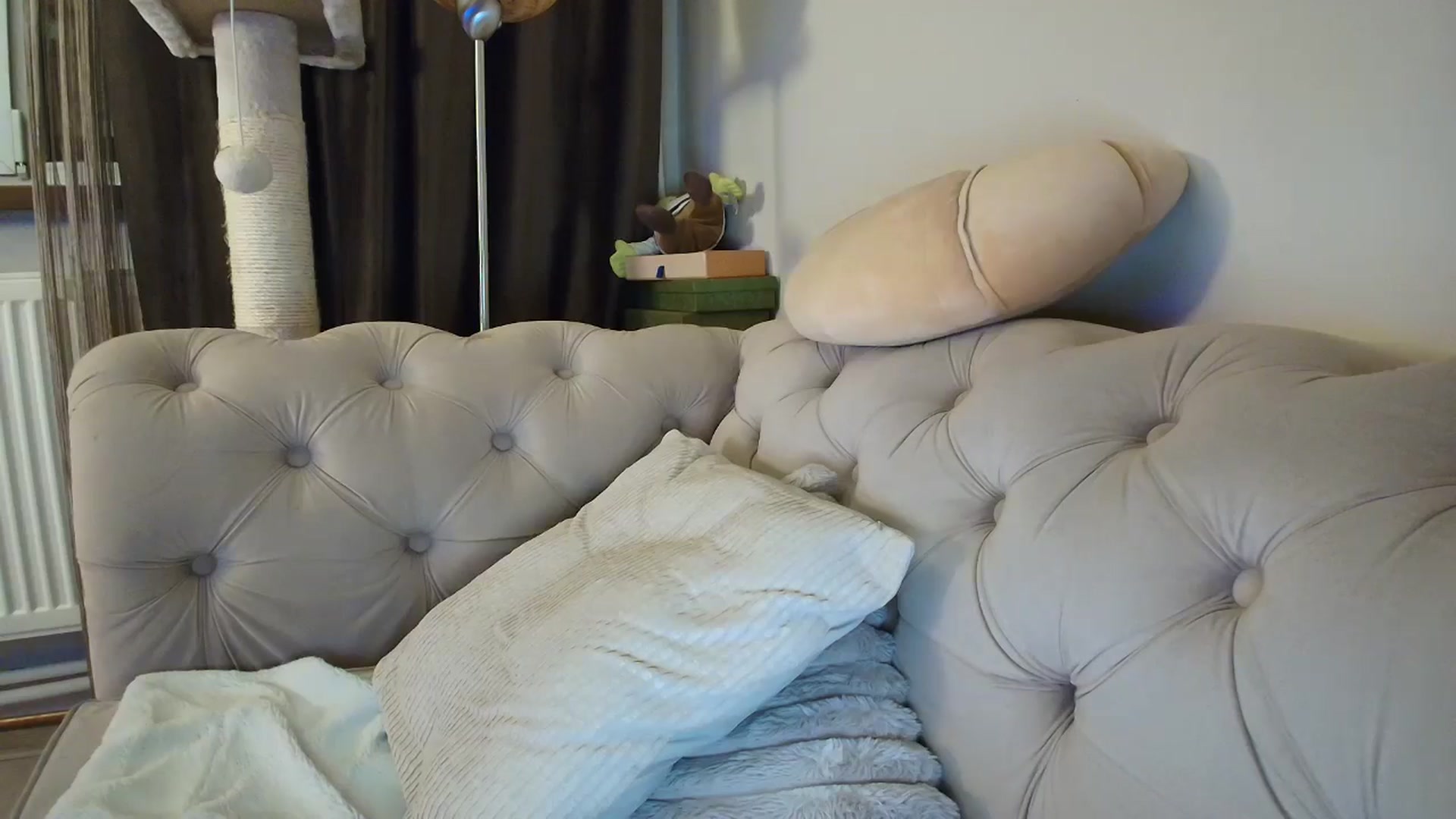 Gallery image thumbnail from SashaLopez's myfreecams stream on, 10/25/2025, 22:23 image 15 of 20