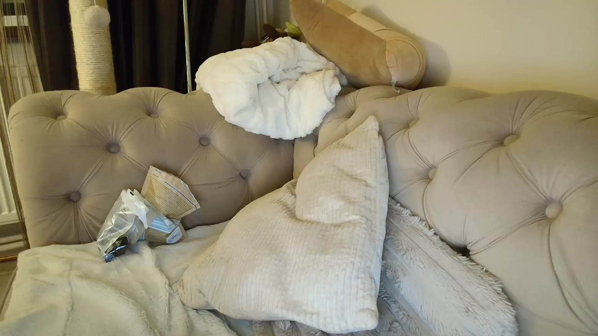 Gallery image thumbnail from SashaLopez's myfreecams stream on, 10/31/2025, 23:52 image 14 of 20