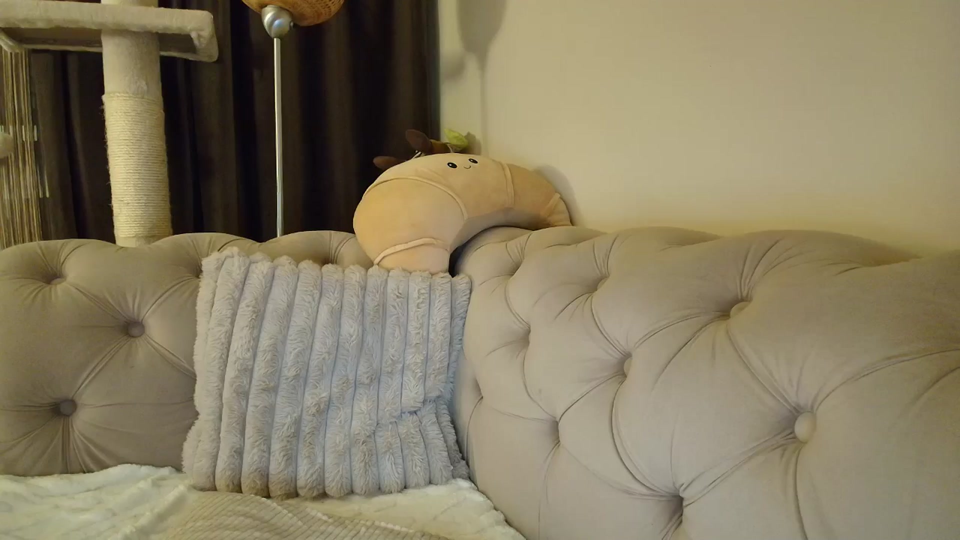 Gallery image thumbnail from SashaLopez's myfreecams stream on, 11/05/2025, 22:38 image 11 of 20