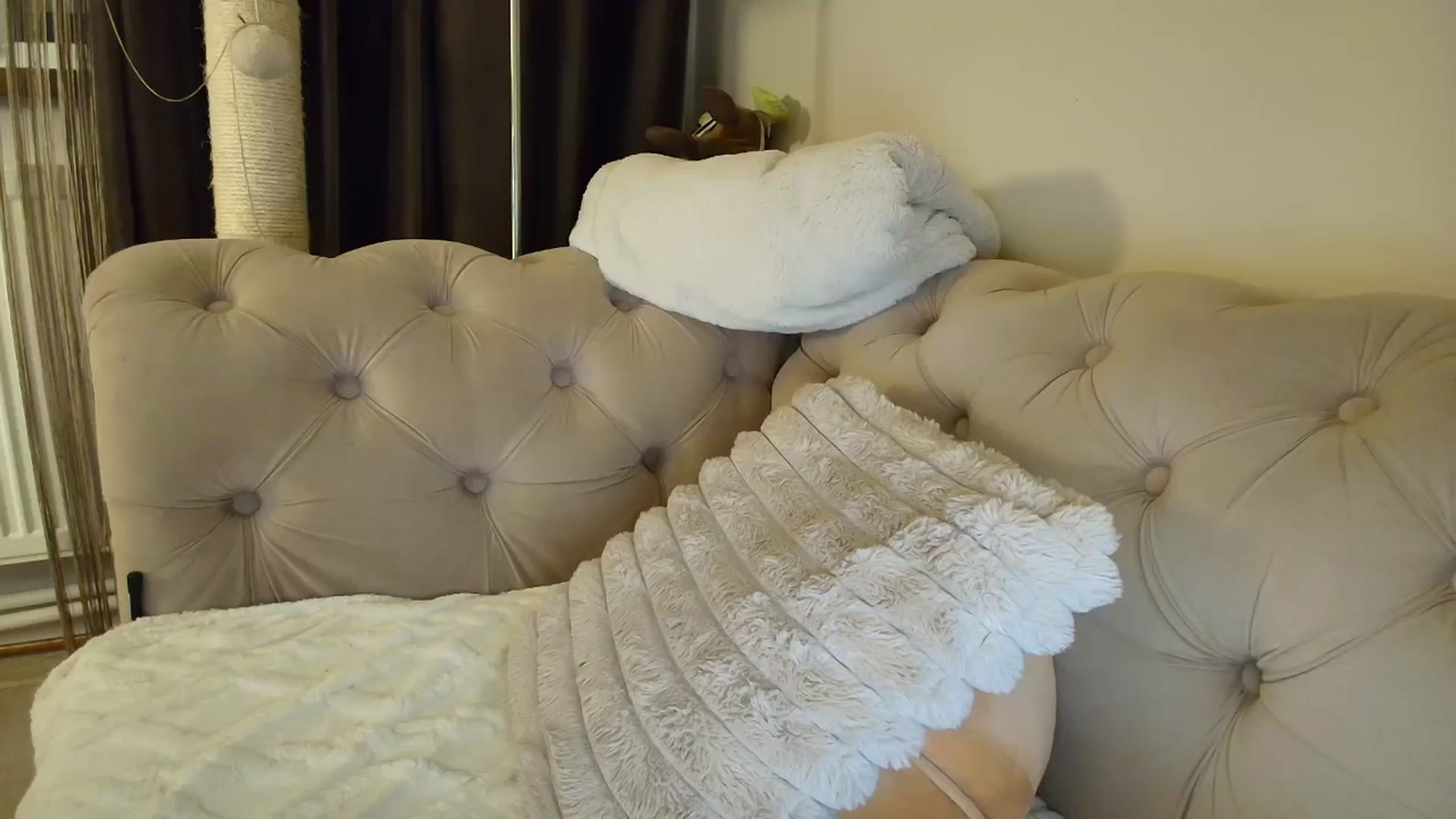 Gallery image thumbnail from SashaLopez's myfreecams stream on, 11/09/2025, 21:09 image 17 of 20