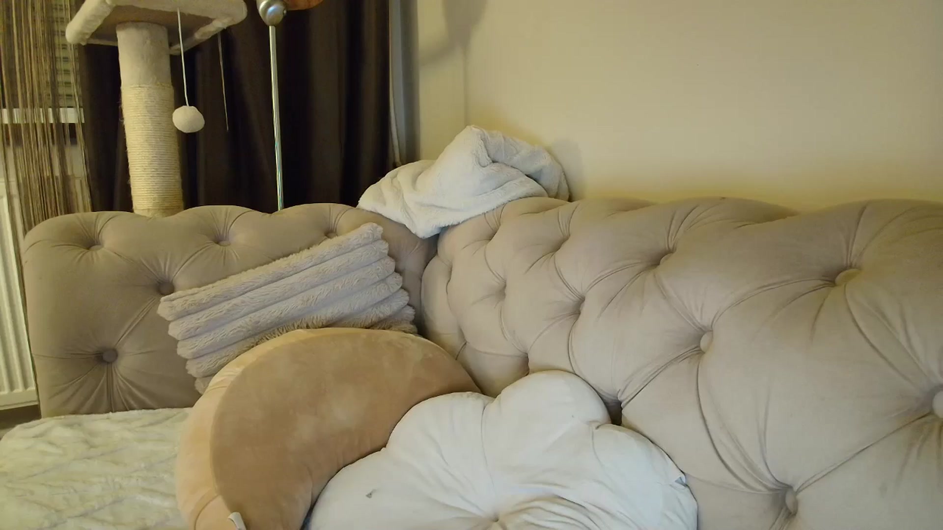 Gallery image thumbnail from SashaLopez's myfreecams stream on, 11/17/2025, 01:24 image 3 of 20