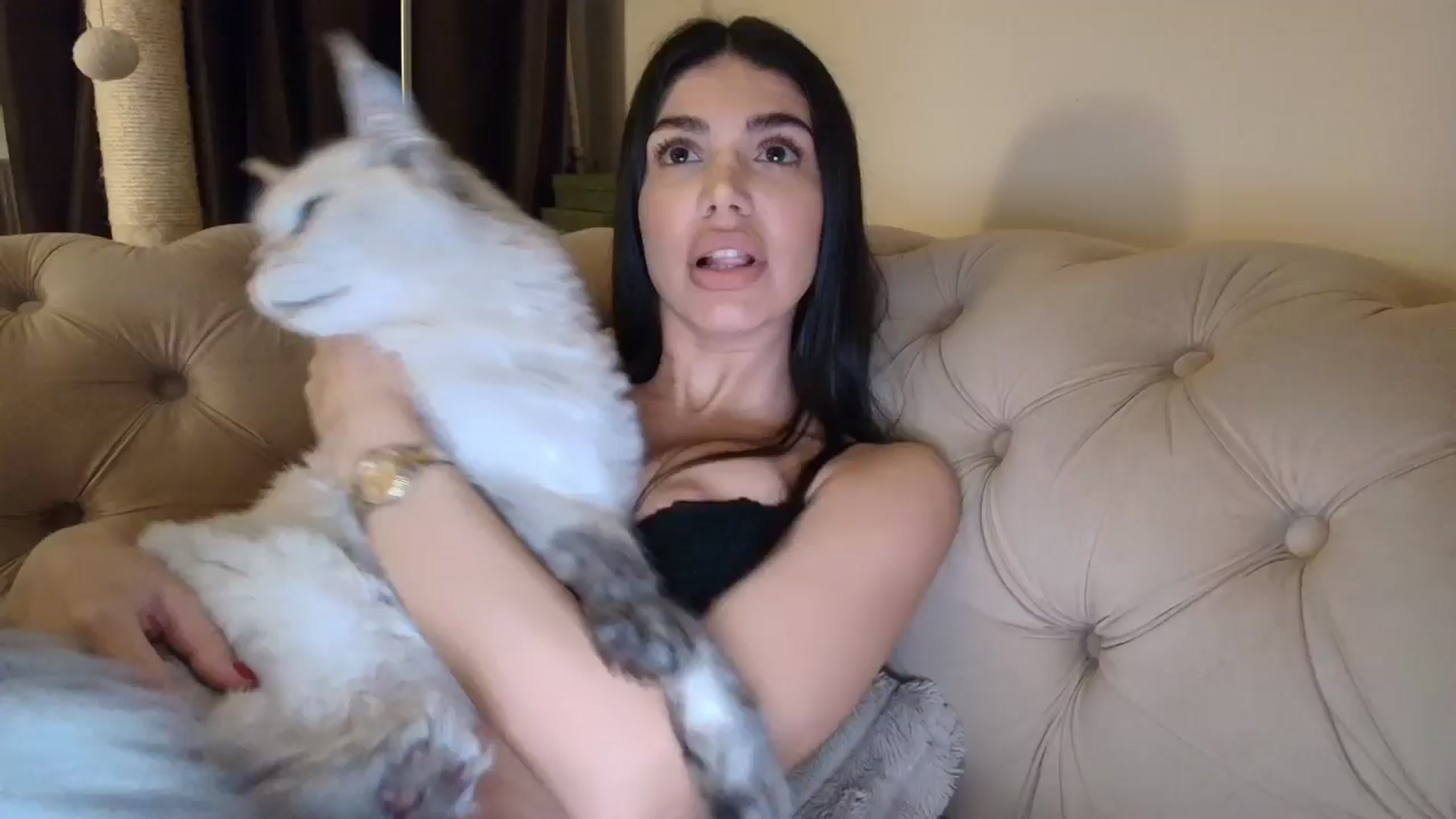 Gallery image thumbnail from SashaLopez's myfreecams stream on, 11/20/2025, 24:54 image 8 of 20