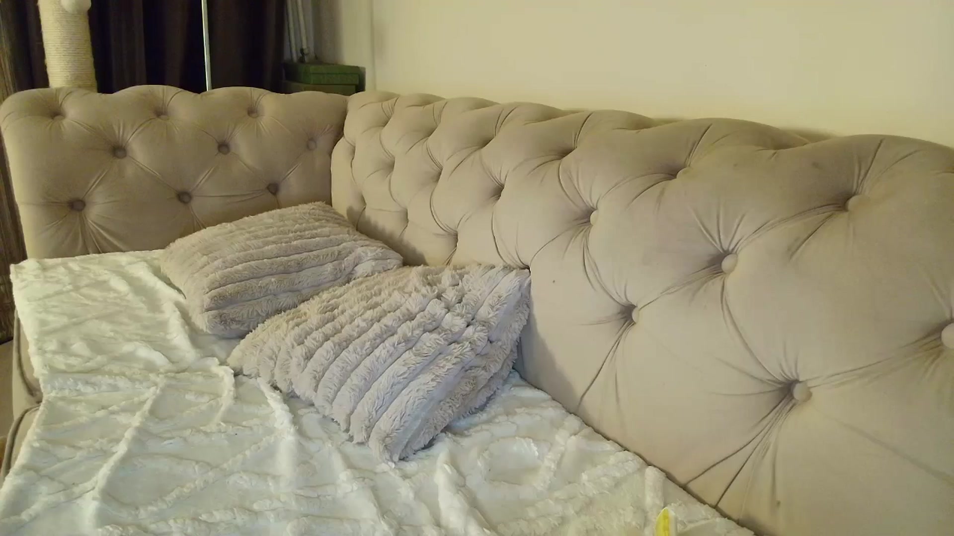 Gallery image thumbnail from SashaLopez's myfreecams stream on, 11/24/2025, 01:10 image 10 of 20