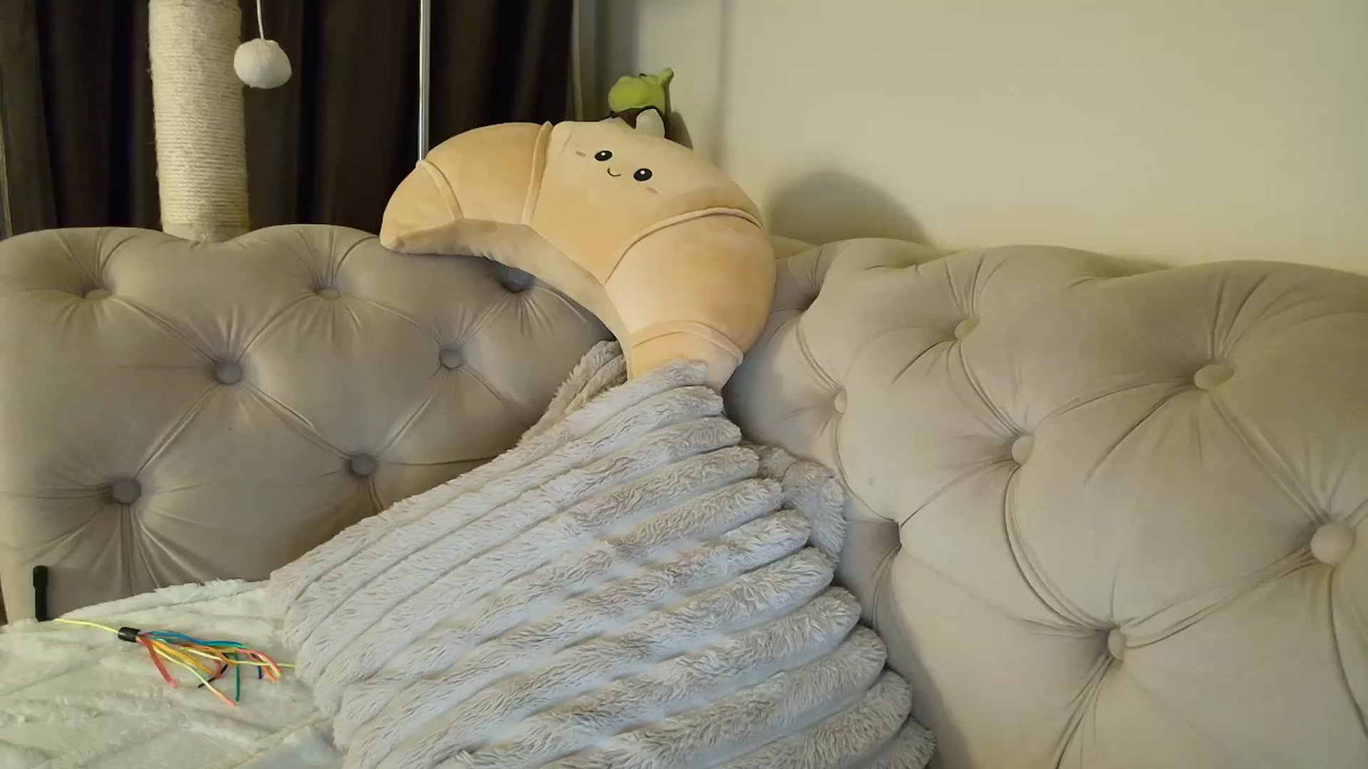 Gallery image thumbnail from SashaLopez's myfreecams stream on, 12/03/2025, 23:09 image 3 of 20
