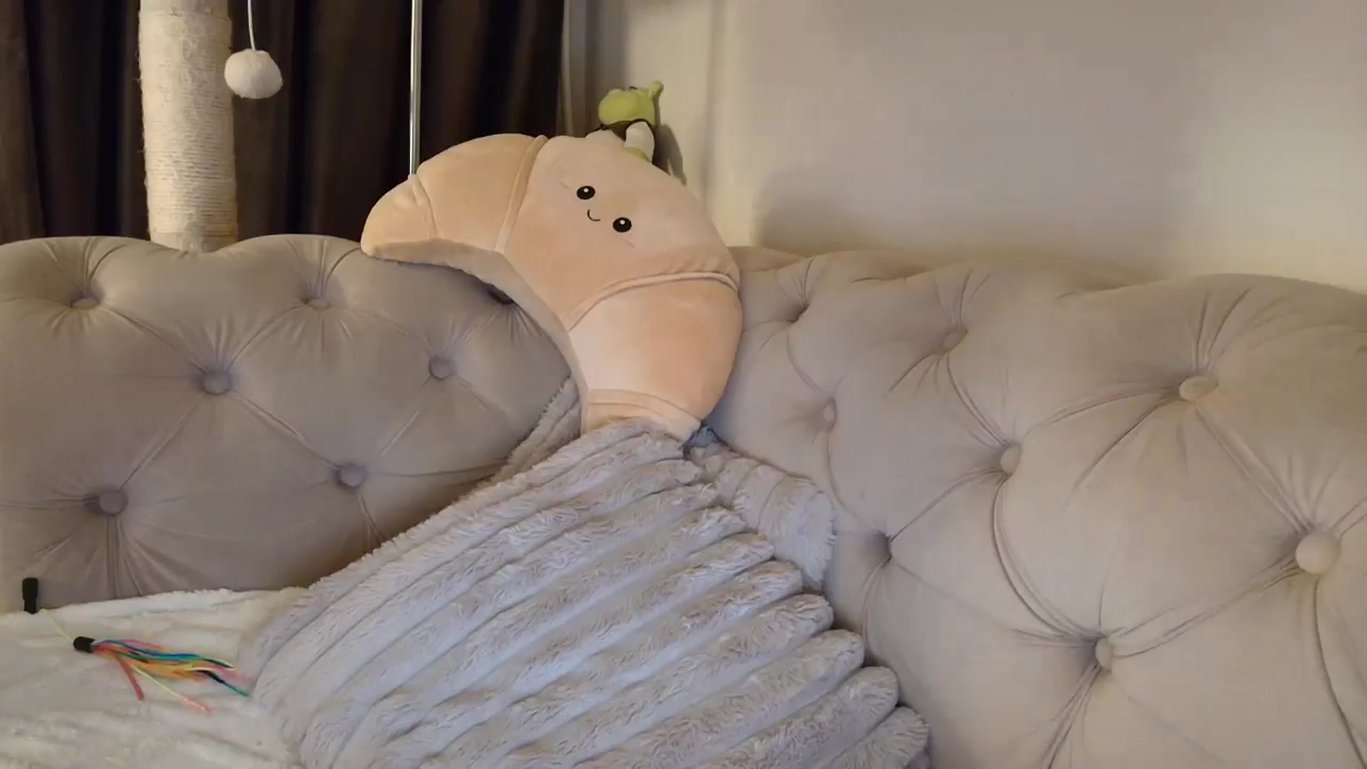 Gallery image thumbnail from SashaLopez's myfreecams stream on, 12/03/2025, 23:09 image 6 of 20