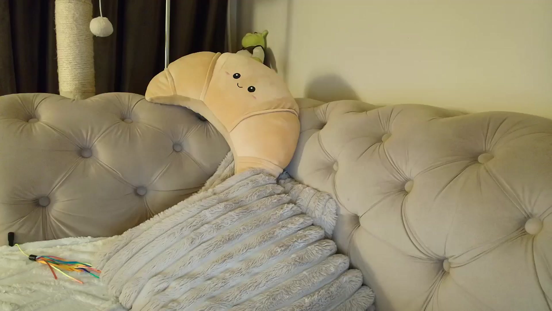 Gallery image thumbnail from SashaLopez's myfreecams stream on, 12/03/2025, 23:09 image 7 of 20