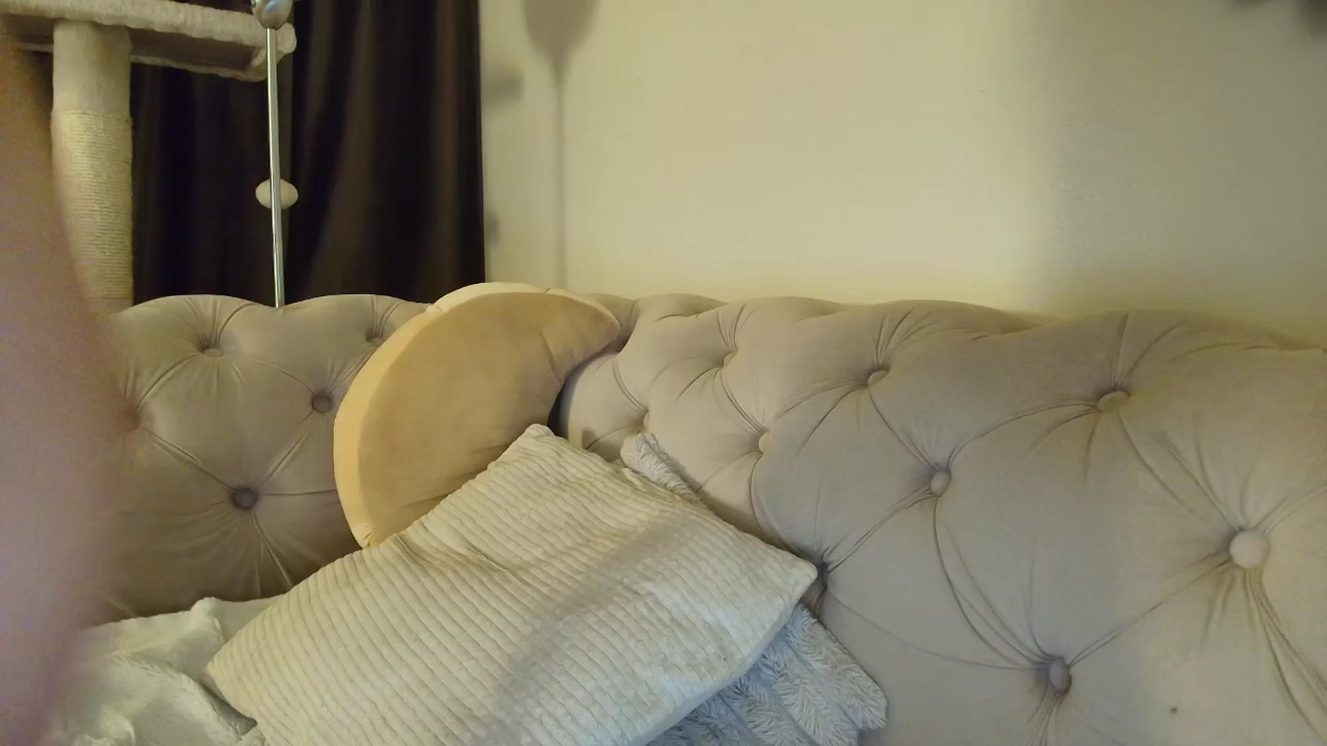 Gallery image thumbnail from SashaLopez's myfreecams stream on, 12/19/2025, 23:48 image 11 of 20