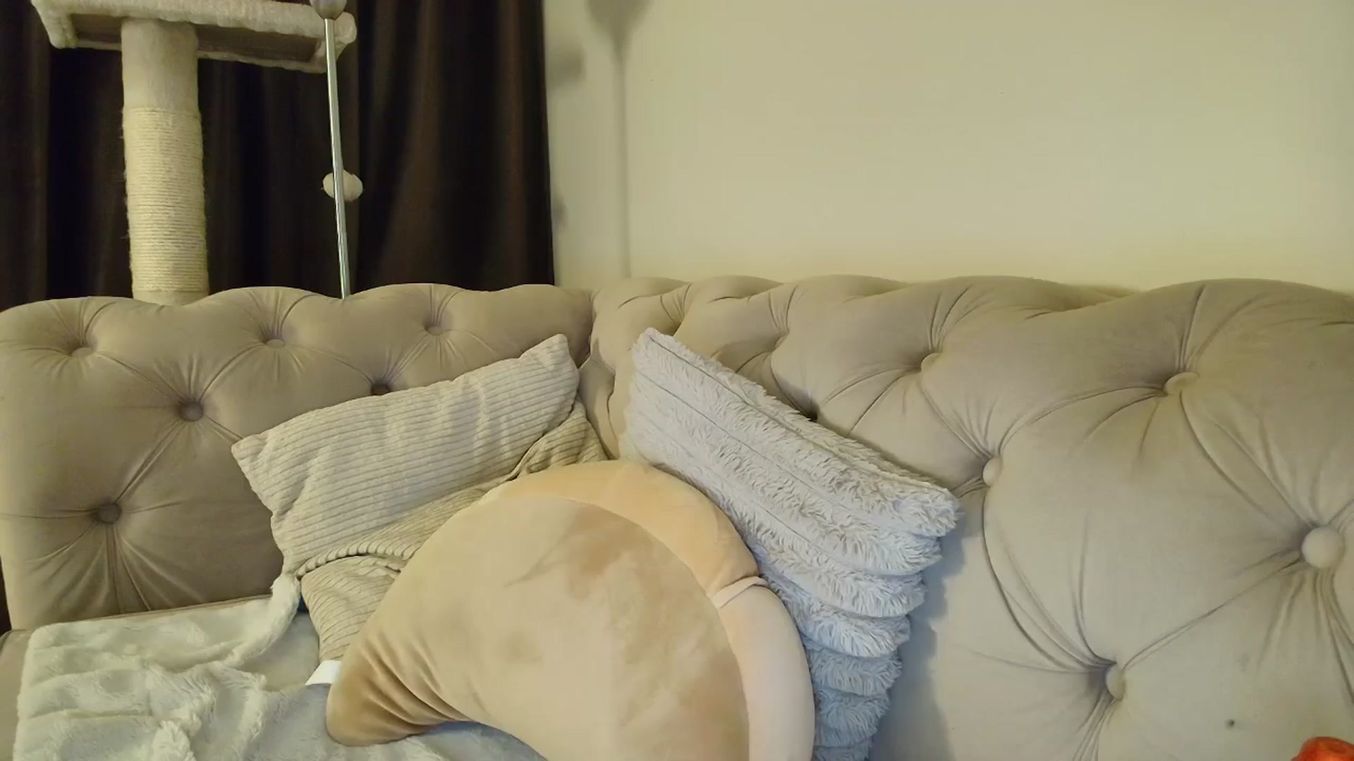 Gallery image thumbnail from SashaLopez's myfreecams stream on, 12/20/2025, 01:19 image 3 of 20