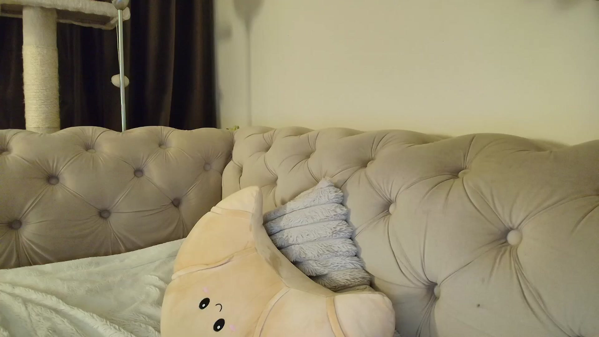 Gallery image thumbnail from SashaLopez's myfreecams stream on, 12/21/2025, 24:04 image 18 of 20