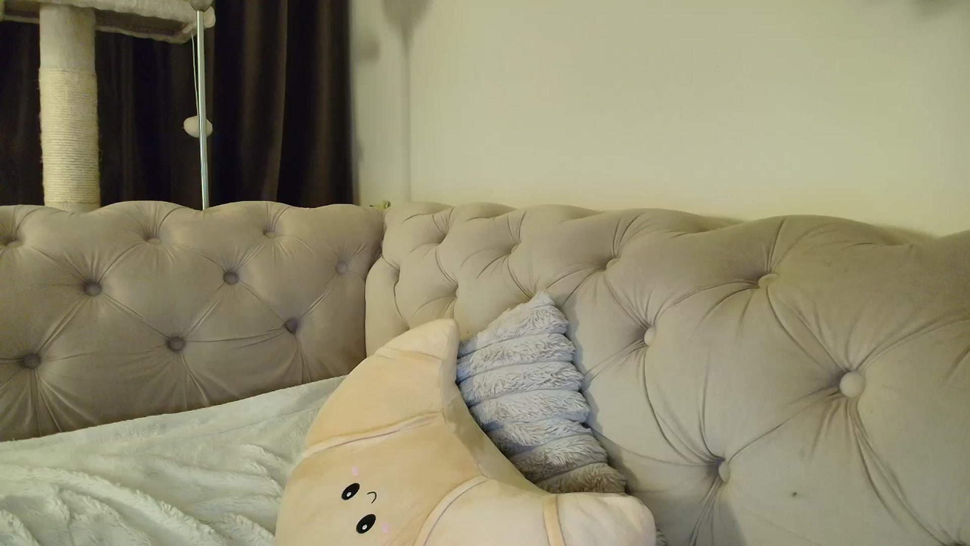 Gallery image thumbnail from SashaLopez's myfreecams stream on, 12/21/2025, 24:04 image 20 of 20