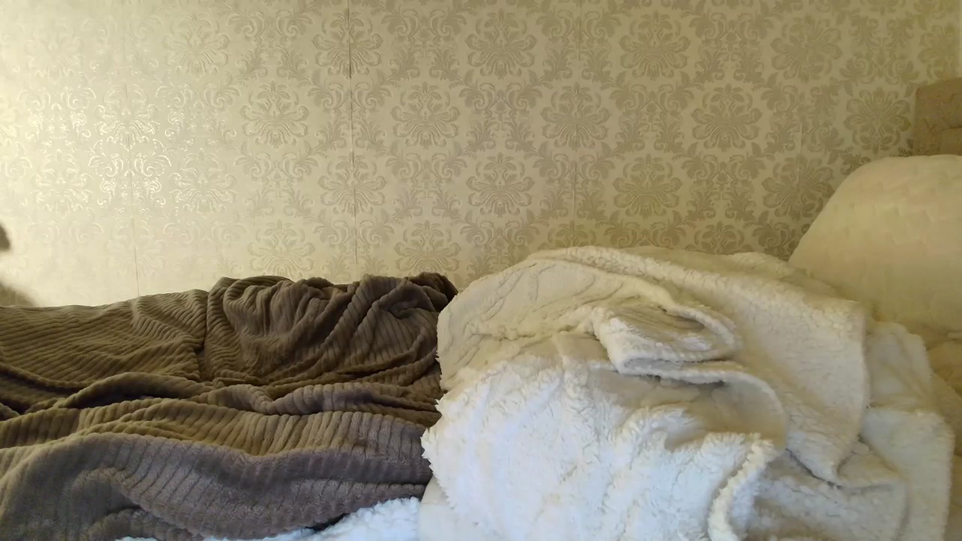 Gallery image thumbnail from SashaLopez's myfreecams stream on, 01/02/2026, 22:40 image 9 of 20