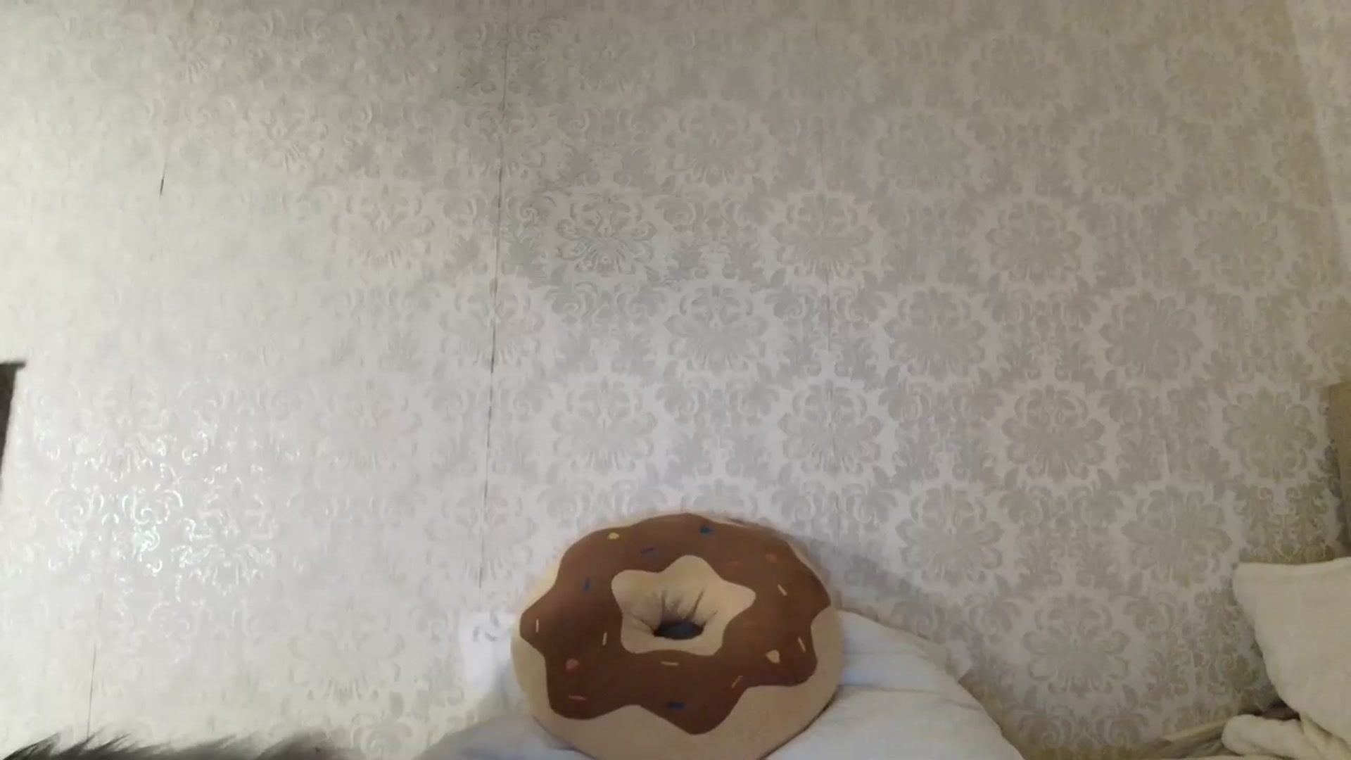 Gallery image thumbnail from SashaLopez's myfreecams stream on, 02/10/2026, 21:08 image 12 of 20