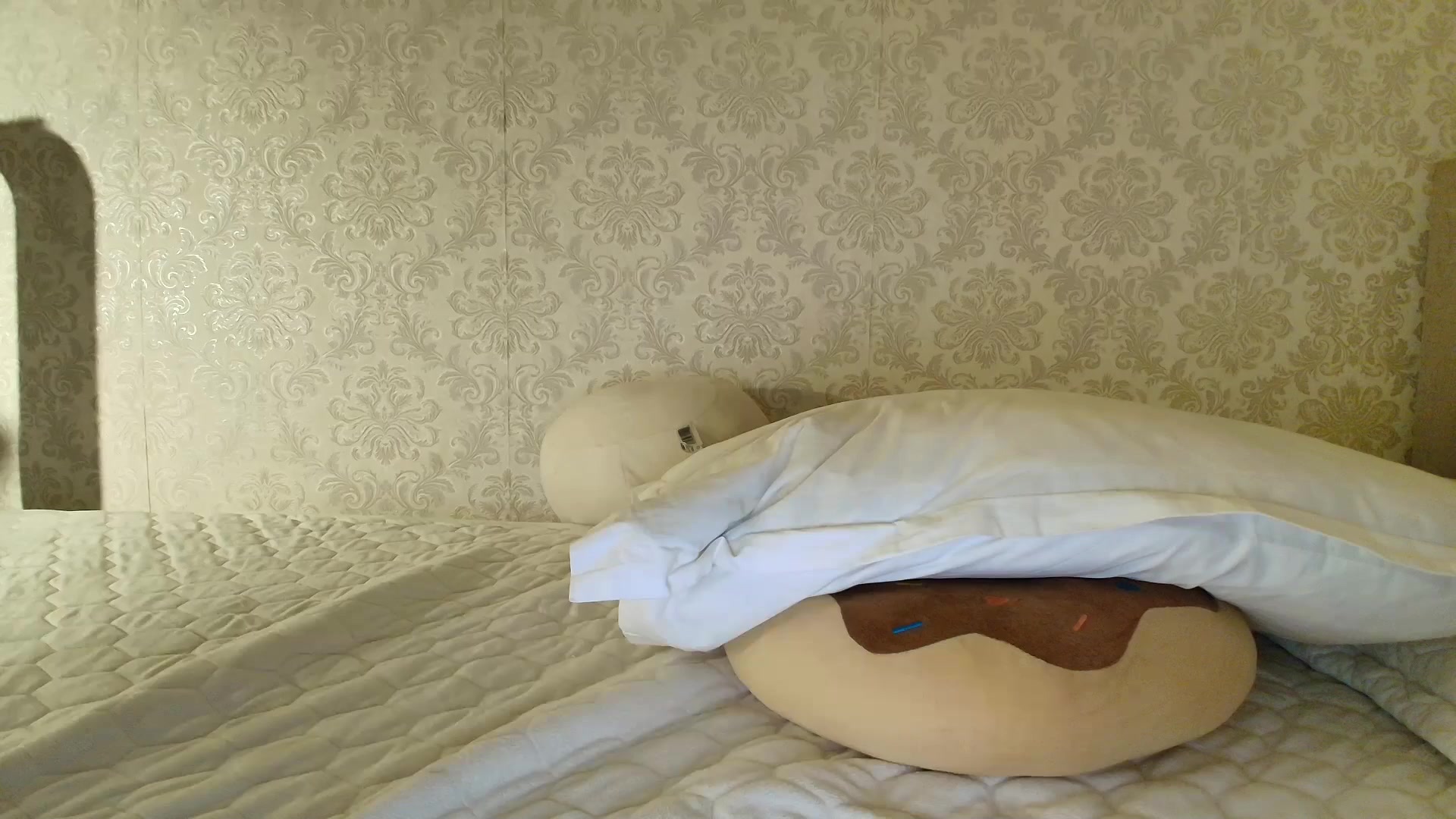 Gallery image thumbnail from SashaLopez's myfreecams stream on, 02/24/2026, 22:31 image 17 of 20