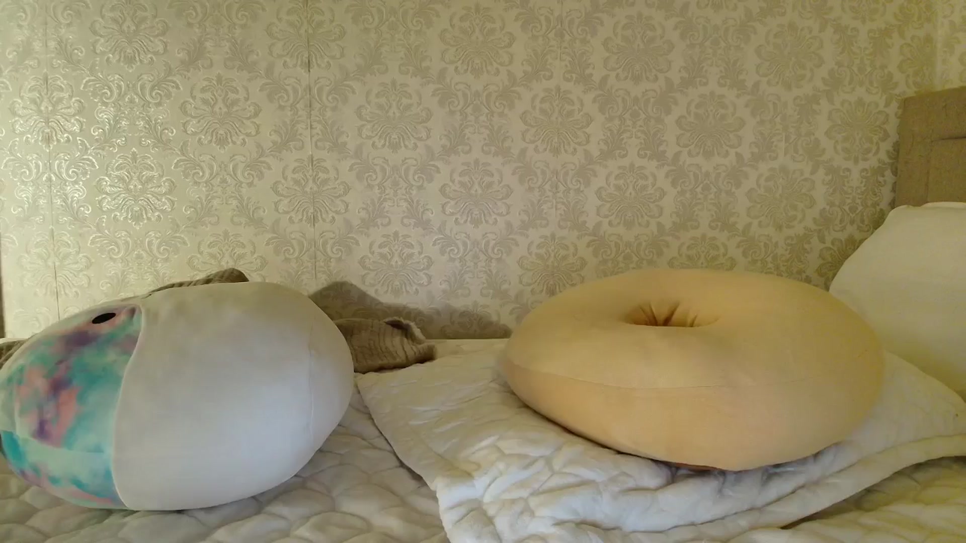 Gallery image thumbnail from SashaLopez's myfreecams stream on, 02/27/2026, 22:31 image 6 of 20