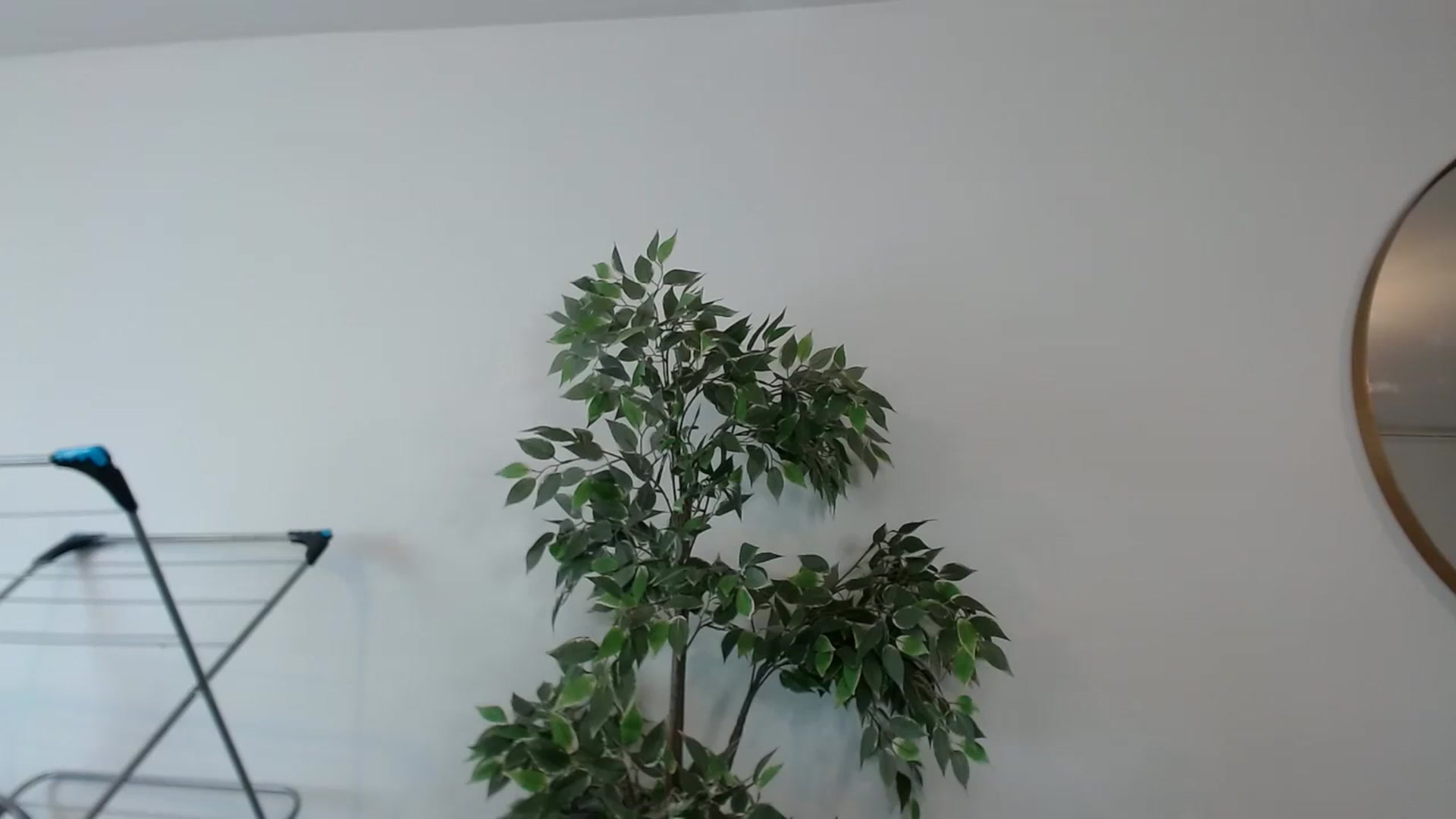 Gallery image thumbnail from SashaSwan's myfreecams stream on, 06/29/2024, 15:45 image 5 of 20