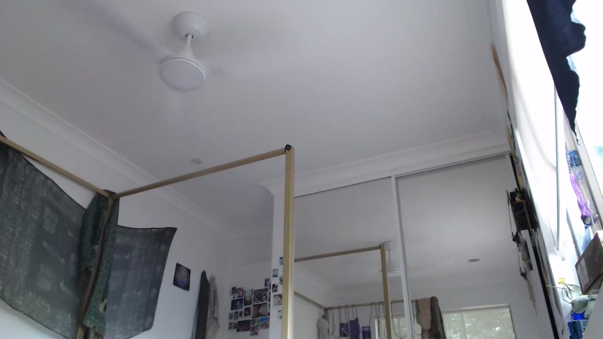Gallery image thumbnail from Saskia's myfreecams stream on, 12/17/2025, 01:38 image 19 of 20