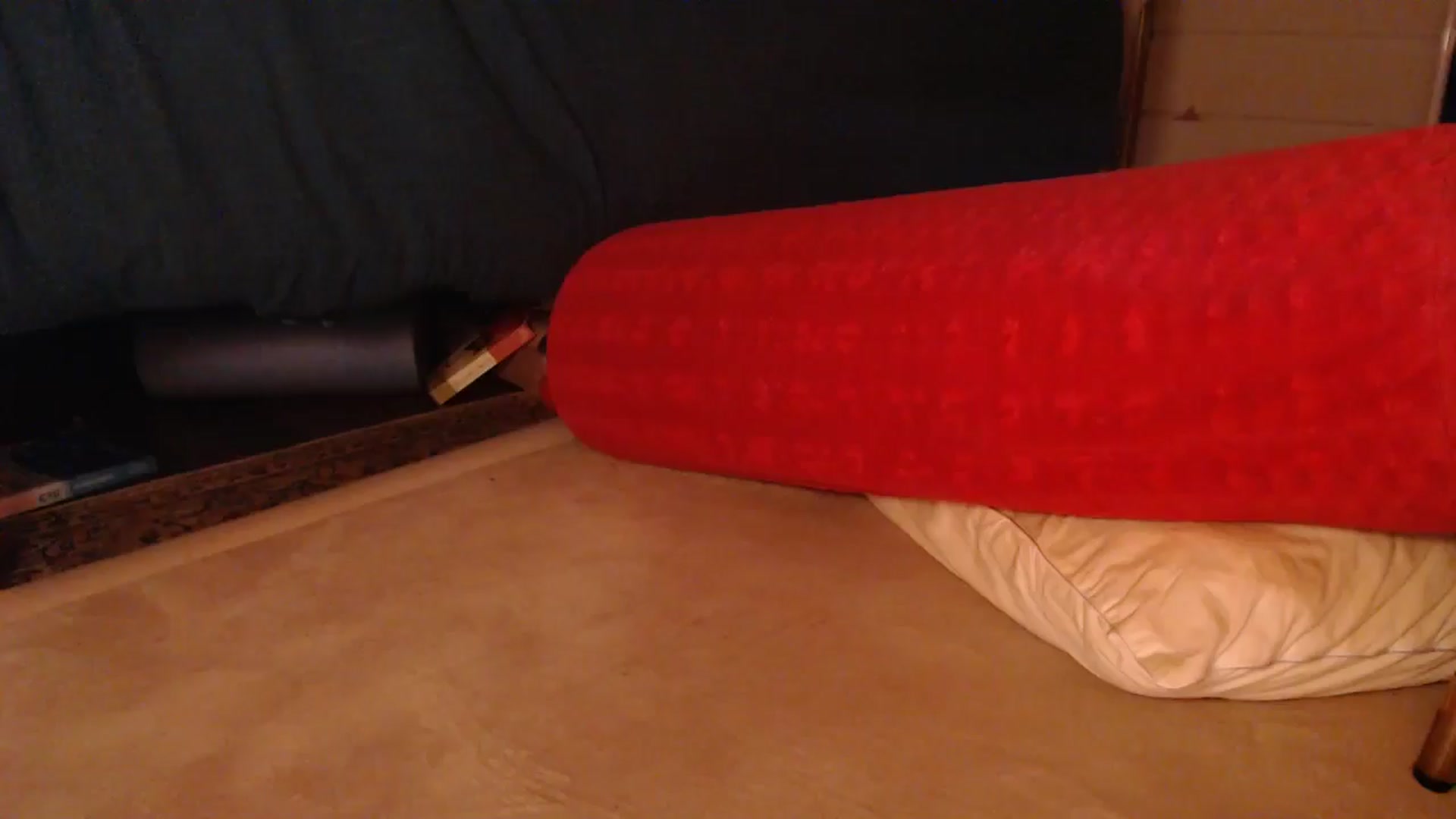 Gallery image thumbnail from Saskia's myfreecams stream on, 01/02/2026, 11:33 image 11 of 20