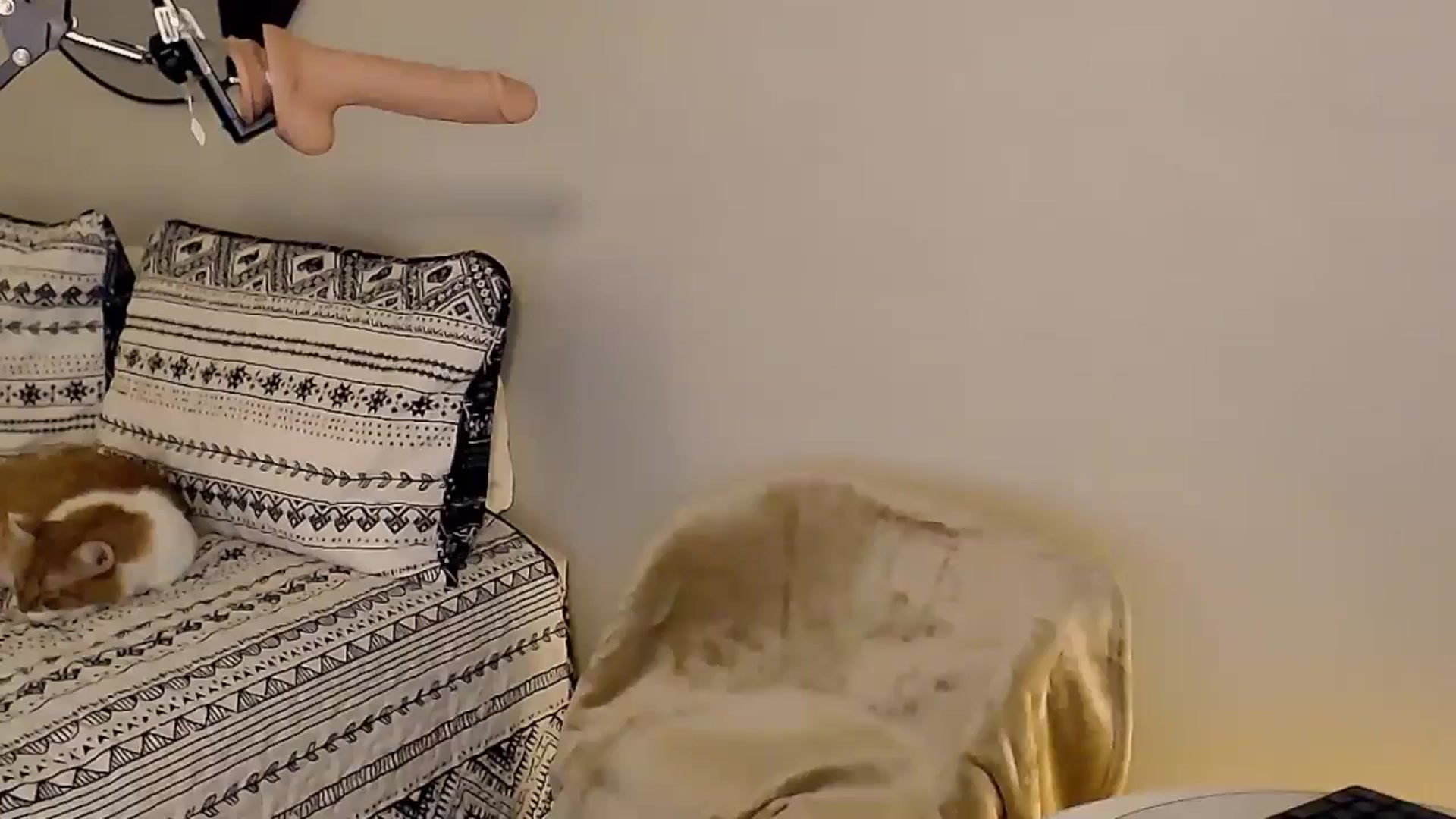 Gallery image thumbnail from Sassssssssy's myfreecams stream on, 01/01/2026, 20:58 image 4 of 20