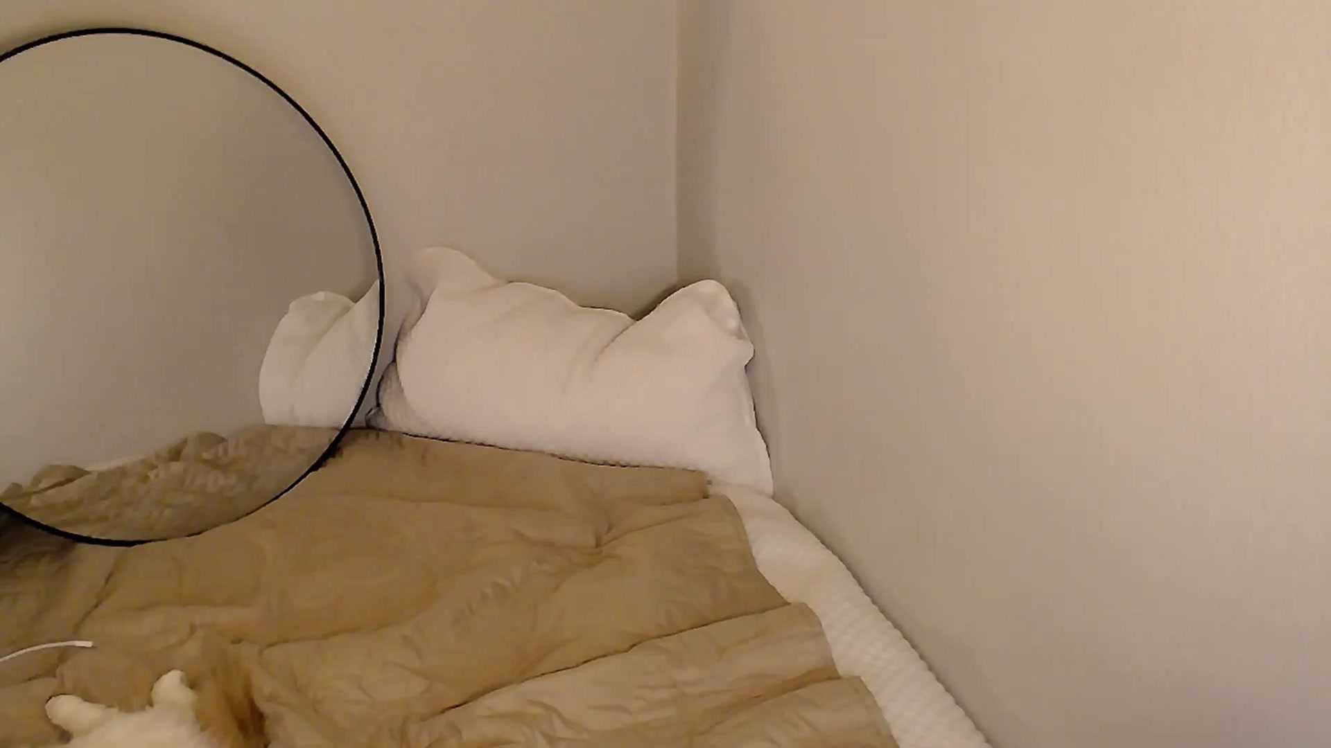 Gallery image thumbnail from Sassssssssy's myfreecams stream on, 01/04/2026, 23:47 image 17 of 20