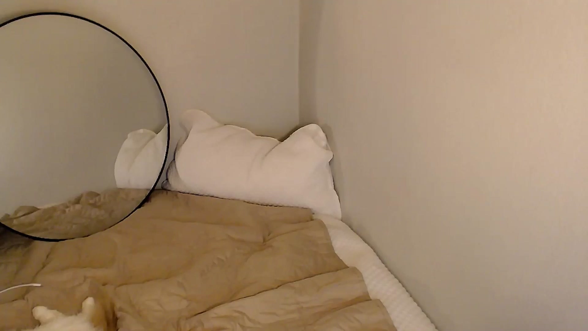 Gallery image thumbnail from Sassssssssy's myfreecams stream on, 01/04/2026, 23:47 image 15 of 20