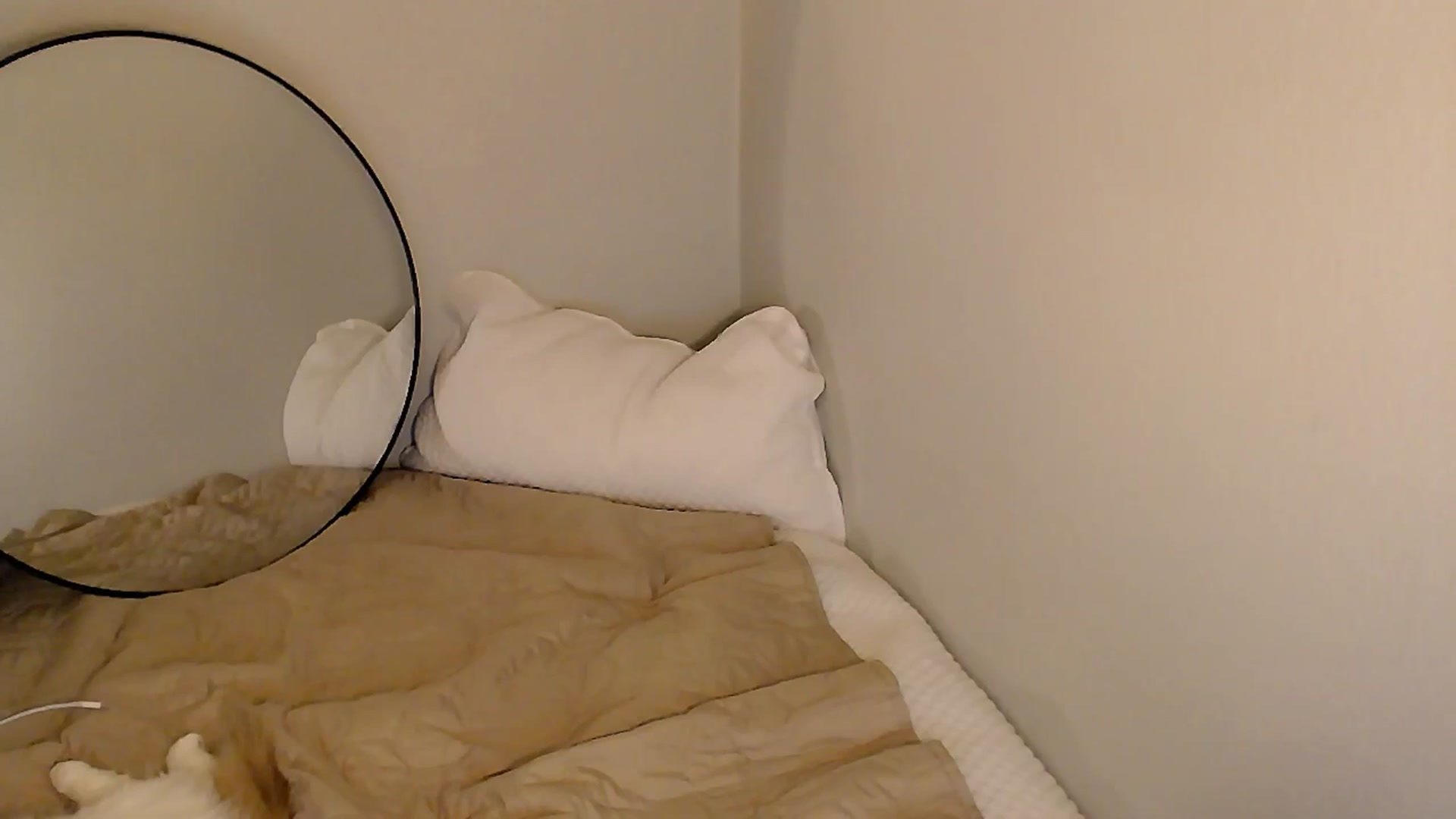 Gallery image thumbnail from Sassssssssy's myfreecams stream on, 01/04/2026, 23:47 image 16 of 20