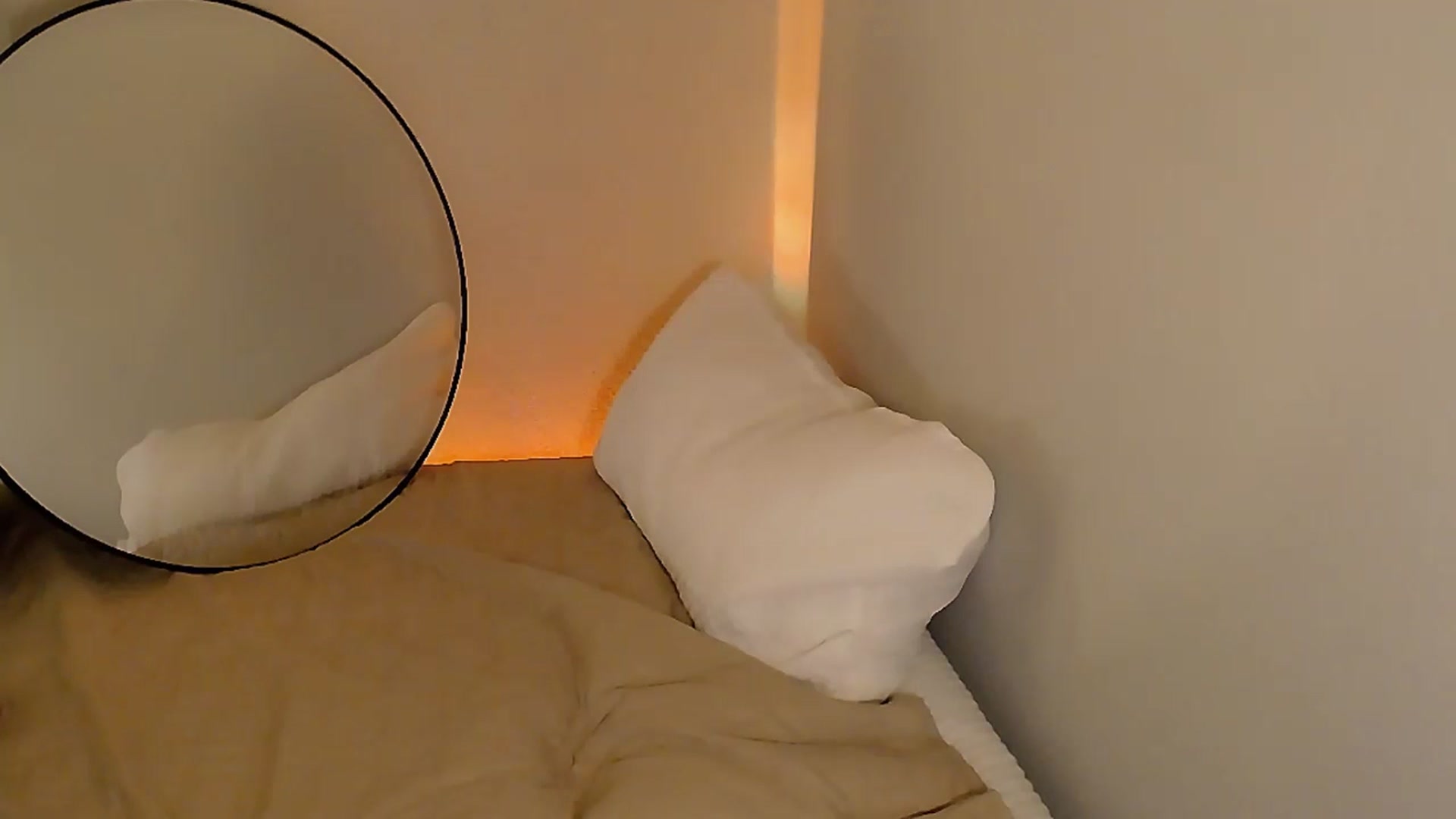 Gallery image thumbnail from Sassssssssy's myfreecams stream on, 01/05/2026, 06:38 image 19 of 20
