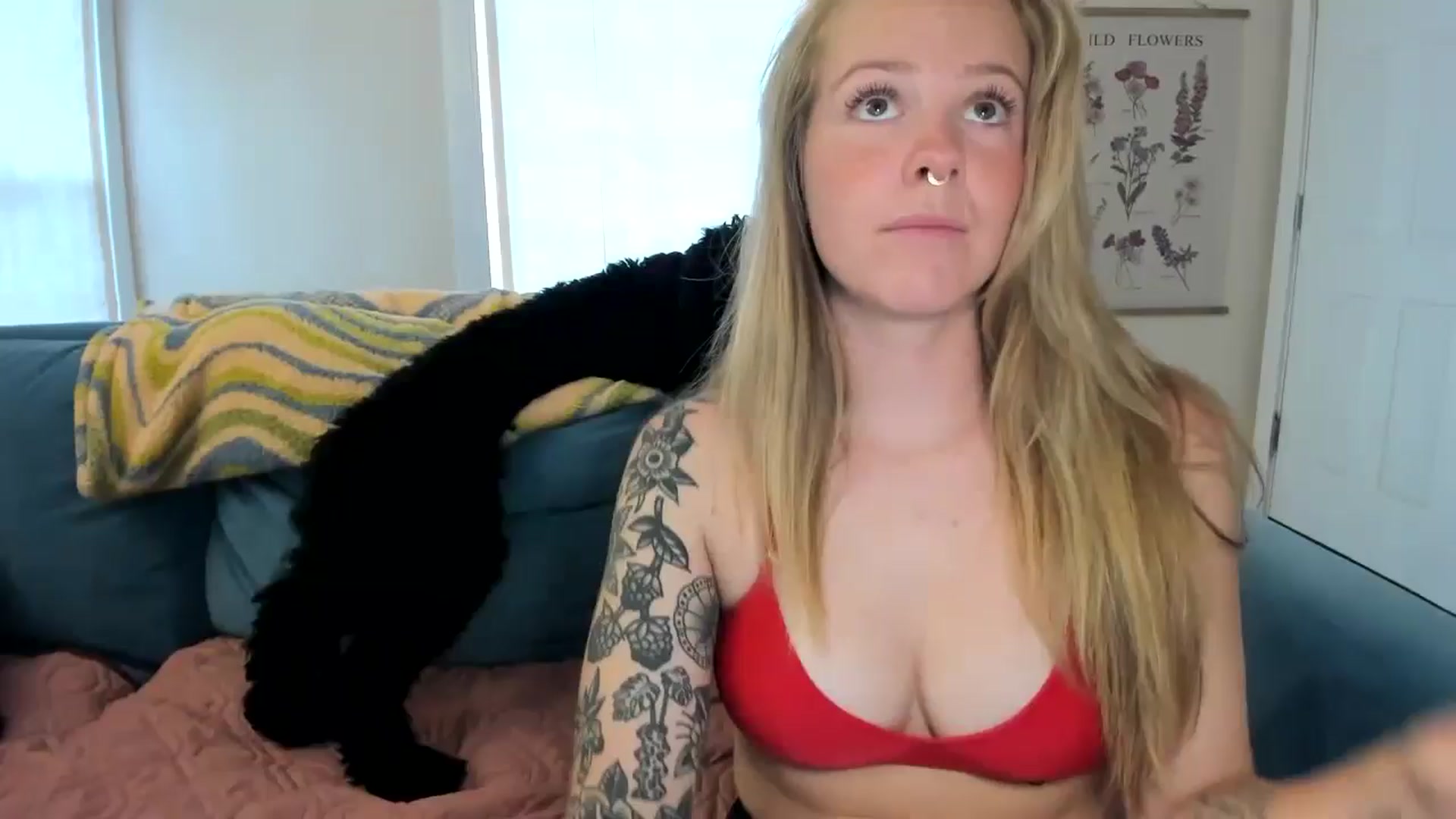 Gallery image thumbnail from Sasssykassy's myfreecams stream on, 08/02/2024, 23:56 image 1 of 20