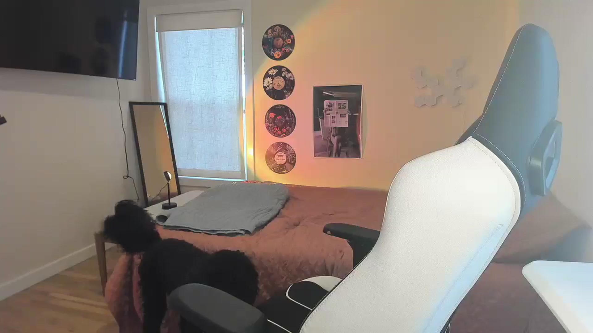 Gallery image thumbnail from Sasssykassy's myfreecams stream on, 02/04/2025, 23:21 image 8 of 20