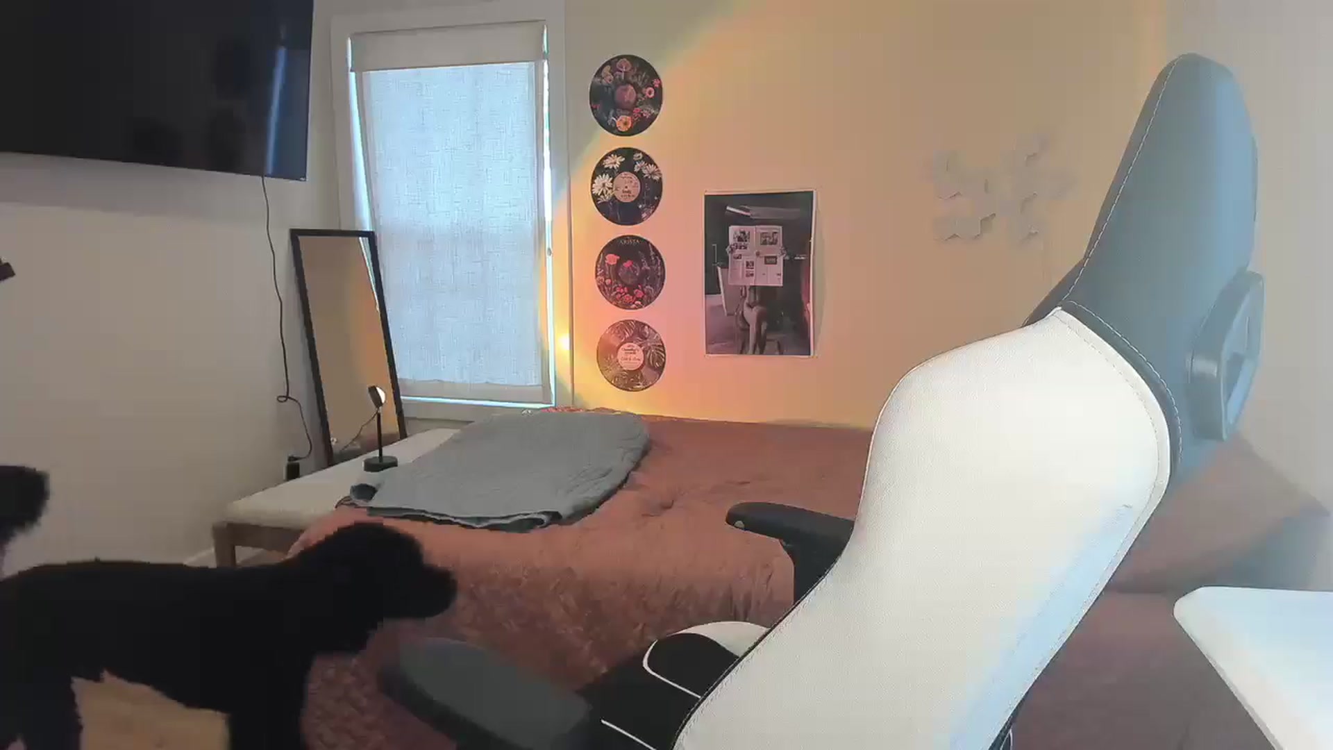 Gallery image thumbnail from Sasssykassy's myfreecams stream on, 02/04/2025, 23:21 image 7 of 20