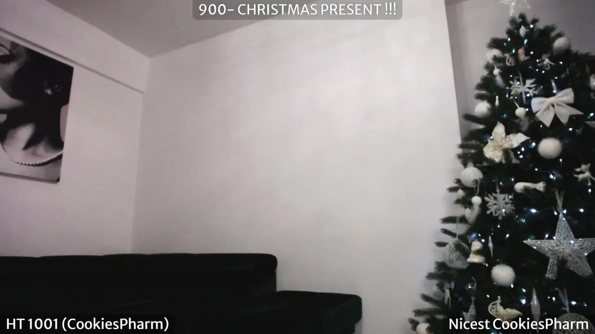 Gallery image thumbnail from SassyCookies's myfreecams stream on, 12/25/2024, 07:49 image 14 of 20