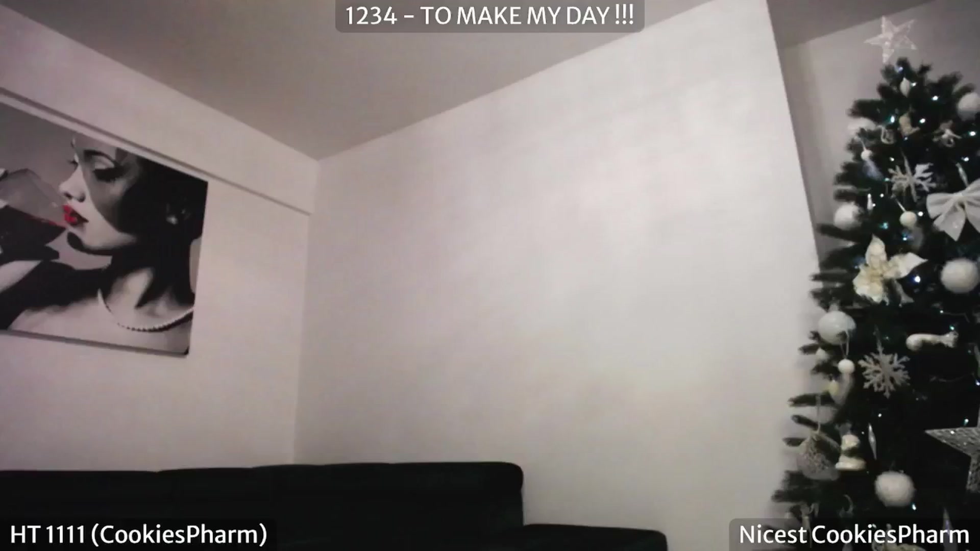 Gallery image thumbnail from SassyCookies's myfreecams stream on, 12/28/2024, 06:34 image 9 of 20