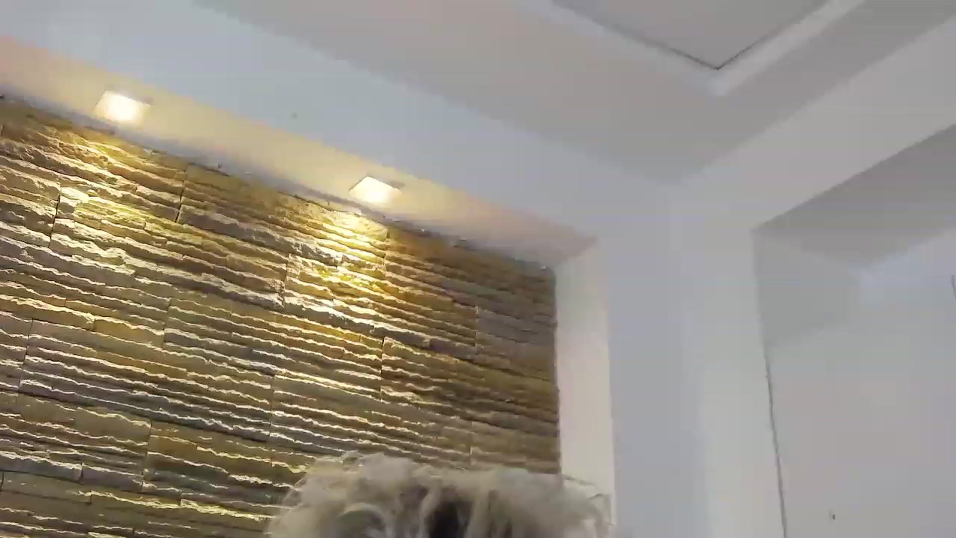 Gallery image thumbnail from SassyKate's myfreecams stream on, 11/28/2022, 13:38 image 17 of 20