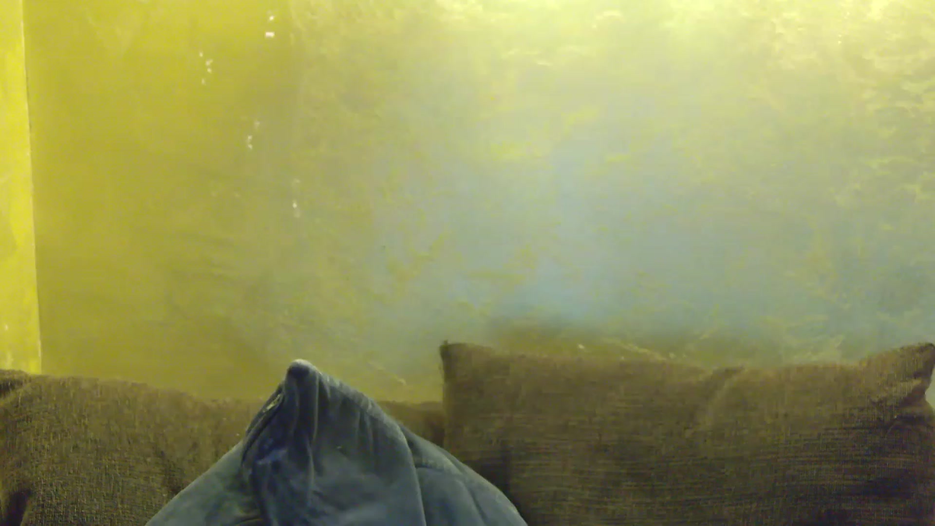 Gallery image thumbnail from SassyKate's myfreecams stream on, 07/09/2023, 18:31 image 1 of 20