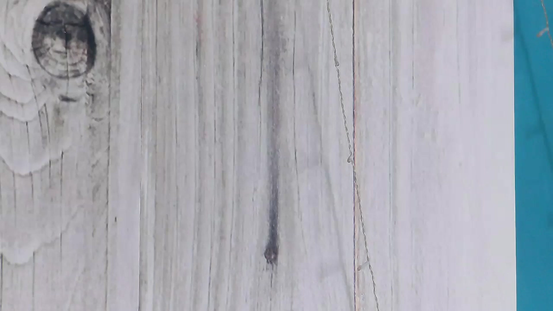 Gallery image thumbnail from SassyKate's myfreecams stream on, 11/14/2023, 12:24 image 12 of 20
