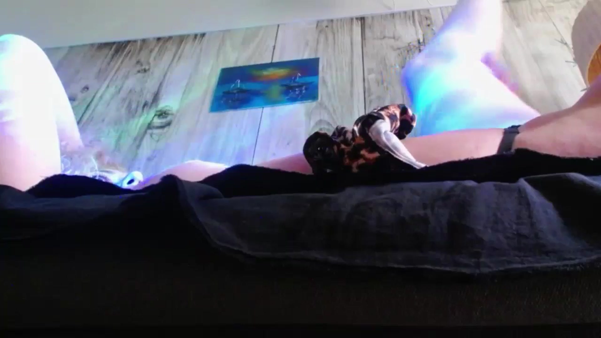 Gallery image thumbnail from SassyKate's myfreecams stream on, 06/21/2024, 09:45 image 8 of 20