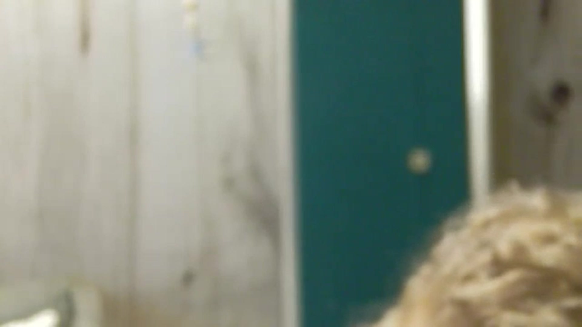 Gallery image thumbnail from SassyKate's myfreecams stream on, 05/18/2025, 24:24 image 9 of 20