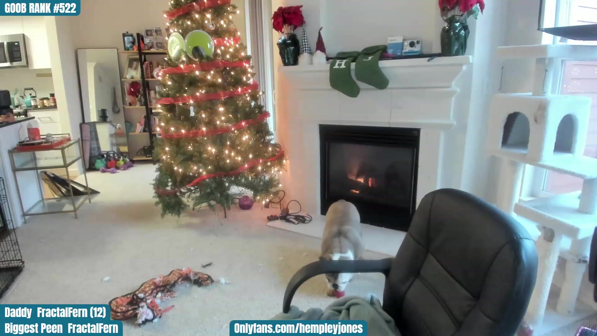 Gallery image thumbnail from SassyMcFucker's myfreecams stream on, 12/17/2022, 24:10 image 4 of 20