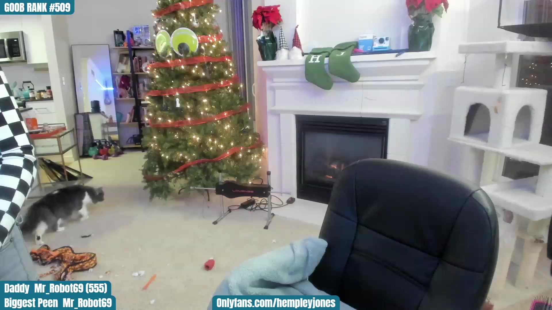 Gallery image thumbnail from SassyMcFucker's myfreecams stream on, 12/17/2022, 24:43 image 20 of 20