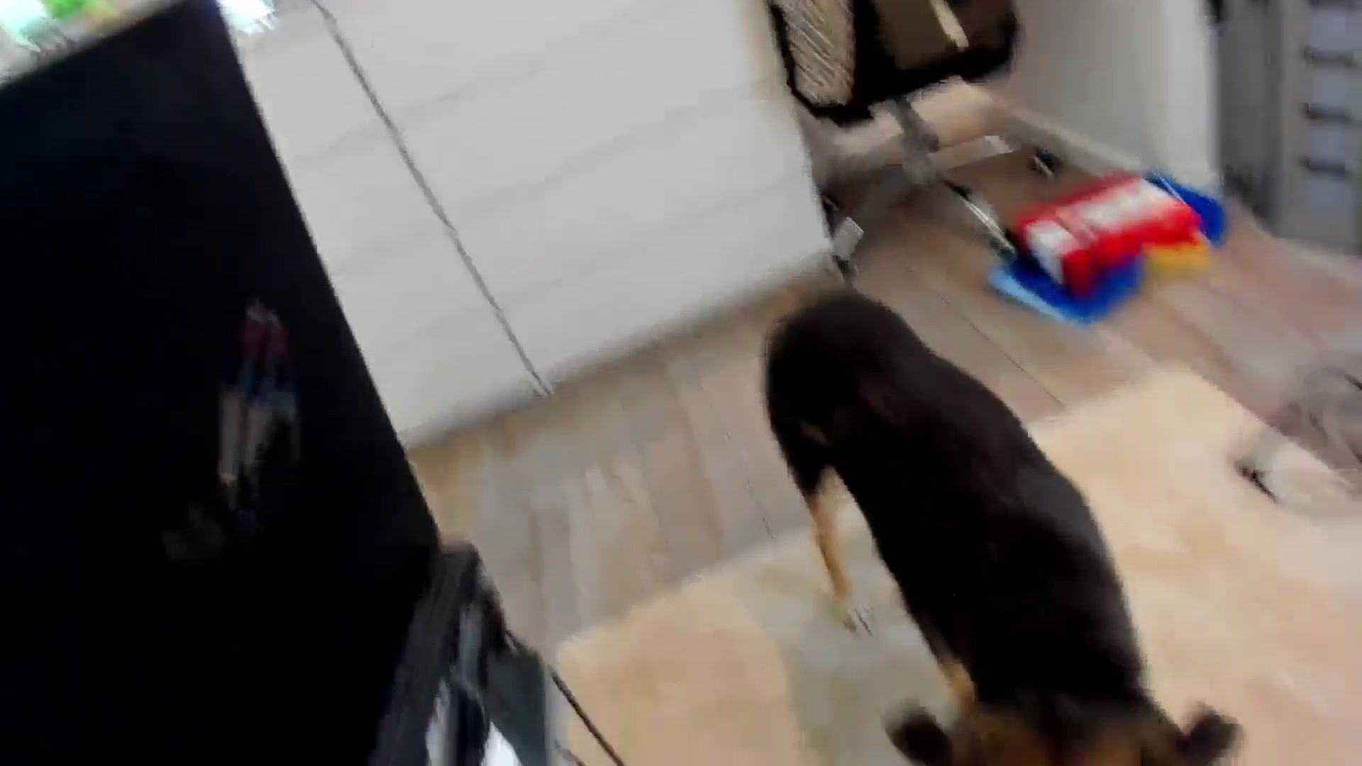 Gallery image thumbnail from SassyR's myfreecams stream on, 10/13/2024, 24:52 image 6 of 20