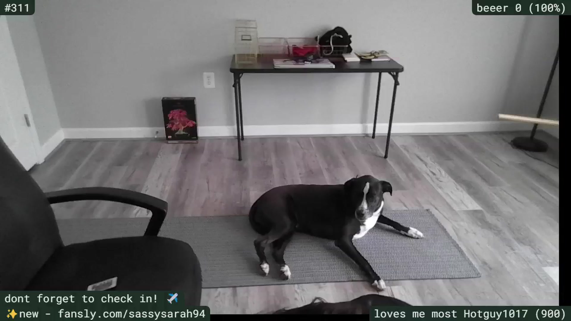Gallery image thumbnail from SassySarah94's myfreecams stream on, 07/03/2025, 19:48 image 16 of 20