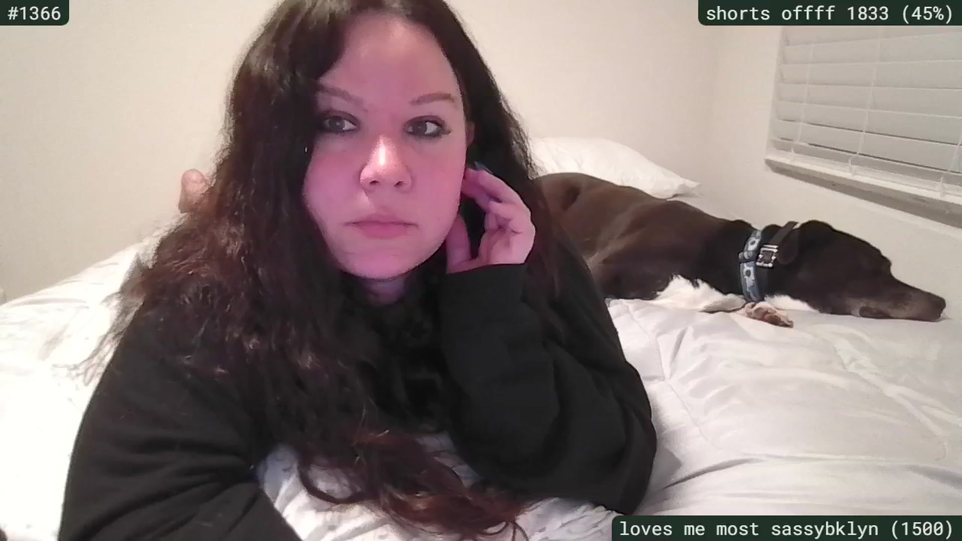 Gallery image thumbnail from SassySarah94's myfreecams stream on, 02/03/2026, 04:15 image 5 of 20