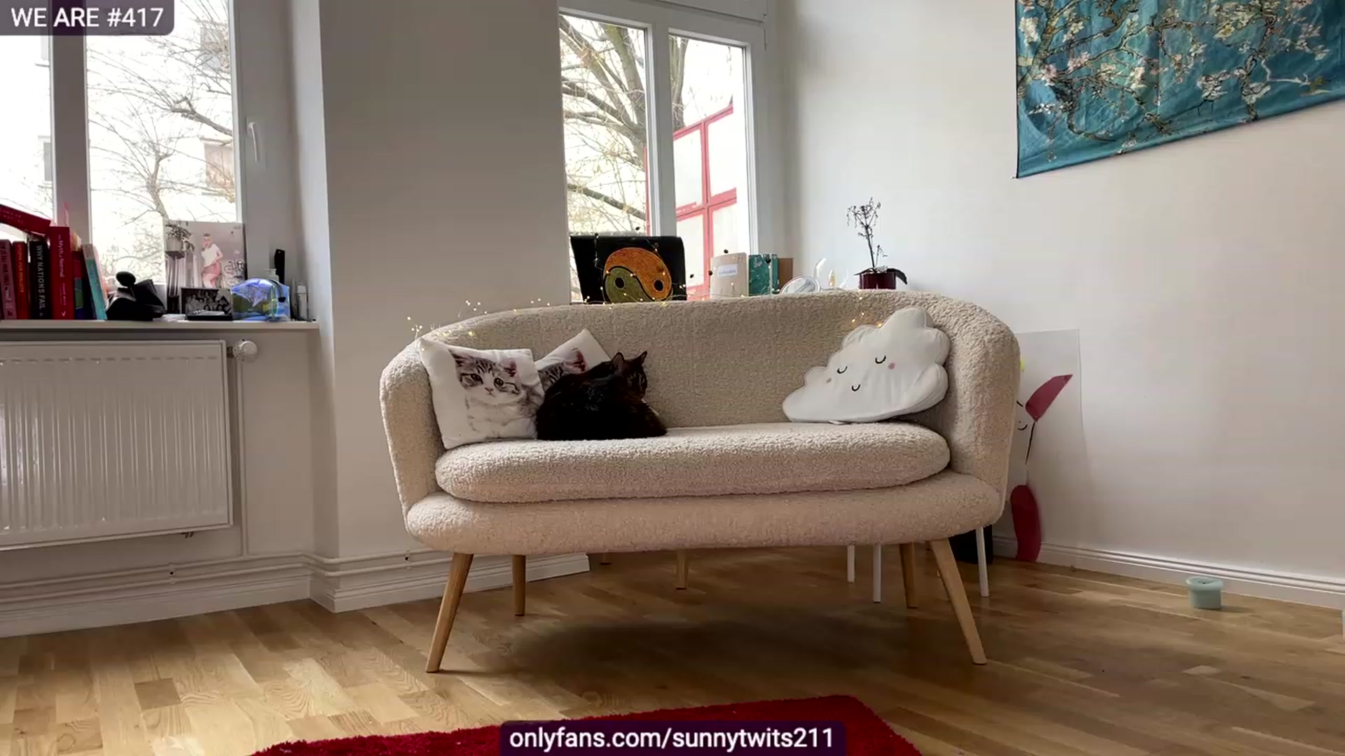 Gallery image thumbnail from SassySuz_'s myfreecams stream on, 12/12/2022, 12:14 image 16 of 20